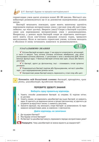 66
§17. Бактерії: будова та процеси життєдіяльності
ñïðèÿòëèâèõ óìîâ çäàòíі äіëèòèñÿ êîæíі 20–30 õâèëèí. Íèò÷àñòі öіà-
íîáàêòåðії ðîçìíîæóþòüñÿ ùå é çà äîïîìîãîþ âіäîêðåìëåííÿ äіëÿíîê
íèòêè.
Áàêòåðії ìåøêàþòü ïîâñþäíî, àäæå ìàþòü âèíÿòêîâó çäàòíіñòü
ïåðåæèâàòè ïåðіîäè íåñïðèÿòëèâèõ óìîâ ó âèãëÿäі ñïîð àáî öèñò (ïðè-
ãàäàéòå, ùî òàêå öèñòà). Çâåðíіòü óâàãó! Ñïîðè â áàêòåðіé ñëóãóþòü
ëèøå äëÿ ïåðåæèâàííÿ íåñïðèÿòëèâèõ óìîâ і ðîçïîâñþäæåííÿ.
Íàïðèêëàä, ó äåÿêèõ âèäіâ áàêòåðіé ñïîðè íå âòðà÷àþòü æèòòєçäàò-
íîñòі íàâіòü ïіñëÿ êèï’ÿòіííÿ âïðîäîâæ êіëüêîõ ãîäèí, òðèâàëîãî
âèñóøóâàííÿ. Êîëè æ íàñòàþòü ñïðèÿòëèâі óìîâè, êëіòèíè âèõîäÿòü
ç îáîëîíêè é çíîâó ïî÷èíàþòü æèâèòèñÿ òà ðîçìíîæóâàòèñÿ.
ÓÇÀÃÀËÜÍÈÌÎ ÇÍÀÍÍß
Клітини бактерій не мають ядра. У них відсутні хлоропласти, мітохондрії,
а часто й вакуолі. Їхня клітина оточена клітинною мембраною, над якою
розташована клітинна оболонка. У цитоплазмі є зона з молекулою ДНК. Вона
виконує функції ядра. У багатьох бактерій клітина має один, кілька або багато
джгутиків.
Є бактерії, здатні до фотосинтезу, інші – споживають готові органічні
речовини.
Розмножуються бактерії поділом або брунькуванням, нитчасті ціанобак-
терії – ще й відокремленням ділянок нитки.
Несприятливі умови бактерії можуть переносити у стані спор або цист.
Ïîïîâíіòü ñâіé áіîëîãі÷íèé ñëîâíèê: áàêòåðії, ïðîêàðіîòè, åóêà-
ðіîòè, öіàíîáàêòåðії, áóëüáî÷êîâі áàêòåðії.
ПЕРЕВІРТЕ ЗДОБУТІ ЗНАННЯ
Виберіть одну правильну відповідь
1. Укажіть способи розмноження бактерій: а) спорами; б) поділом клітин;
в) цистами.
2. Укажіть ознаки, які відрізняють ціанобактерії від інших бактерій: а) наявність
ядра; б) здатність до виділення кисню в процесі фотосинтезу; в) здатність до
існування за відсутності кисню; г) наявність джгутиків.
3. Зазначте функцію, яку виконують спори бактерій: а) розмноження; б) пере-
живання несприятливих умов; в) живлення; г) фотосинтез.
Дайте відповідь на запитання
1. Де поширені бактерії?
2. Яка будова клітини бактерій?
3. Як бактерії та ціанобактерії можуть переживати періоди несприятливих умов?
Поміркуйте. Чому ціанобактерій не можна віднести до водоростей?
(014-13)_V1.indd 66 14.07.2014 14:05:02
 