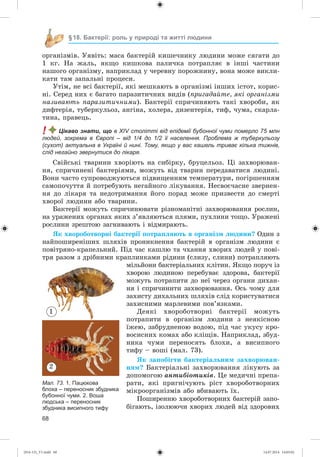 68
§18. Бактерії: роль у природі та житті людини
îðãàíіçìіâ. Óÿâіòü: ìàñà áàêòåðіé êèøå÷íèêó ëþäèíè ìîæå ñÿãàòè äî
1 êã. Íà æàëü, ÿêùî êèøêîâà ïàëè÷êà ïîòðàïëÿє â іíøі ÷àñòèíè
íàøîãî îðãàíіçìó, íàïðèêëàä ó ÷åðåâíó ïîðîæíèíó, âîíà ìîæå âèêëè-
êàòè òàì çàïàëüíі ïðîöåñè.
Óòіì, íå âñі áàêòåðії, ÿêі ìåøêàþòü â îðãàíіçìі іíøèõ іñòîò, êîðèñ-
íі. Ñåðåä íèõ є áàãàòî ïàðàçèòè÷íèõ âèäіâ (ïðèãàäàéòå, ÿêі îðãàíіçìè
íàçèâàþòü ïàðàçèòè÷íèìè). Áàêòåðії ñïðè÷èíÿþòü òàêі õâîðîáè, ÿê
äèôòåðіÿ, òóáåðêóëüîç, àíãіíà, õîëåðà, äèçåíòåðіÿ, òèô, ÷óìà, ñêàðëà-
òèíà, ïðàâåöü.
! Цікаво знати, що в XIV столітті від епідемії бубонної чуми померло 75 млн
людей, зокрема в Європі – від 1/4 до 1/2 її населення. Проблема ж туберкульозу
(сухот) актуальна в Україні й нині. Тому, якщо у вас кашель триває кілька тижнів,
слід негайно звернутися до лікаря.
Ñâіéñüêі òâàðèíè õâîðіþòü íà ñèáіðêó, áðóöåëüîç. Öі çàõâîðþâàí-
íÿ, ñïðè÷èíåíі áàêòåðіÿìè, ìîæóòü âіä òâàðèí ïåðåäàâàòèñÿ ëþäèíі.
Âîíè ÷àñòî ñóïðîâîäæóþòüñÿ ïіäâèùåííÿì òåìïåðàòóðè, ïîãіðøåííÿì
ñàìîïî÷óòòÿ é ïîòðåáóþòü íåãàéíîãî ëіêóâàííÿ. Íåñâîє÷àñíå çâåðíåí-
íÿ äî ëіêàðÿ òà íåäîòðèìàííÿ éîãî ïîðàä ìîæå ïðèçâåñòè äî ñìåðòі
õâîðîї ëþäèíè àáî òâàðèíè.
Áàêòåðії ìîæóòü ñïðè÷èíþâàòè ðіçíîìàíіòíі çàõâîðþâàííÿ ðîñëèí,
íà óðàæåíèõ îðãàíàõ ÿêèõ ç’ÿâëÿþòüñÿ ïëÿìè, ïóõëèíè òîùî. Óðàæåíі
ðîñëèíè çðåøòîþ çàãíèâàþòü і âіäìèðàþòü.
ßê õâîðîáîòâîðíі áàêòåðії ïîòðàïëÿþòü â îðãàíіçì ëþäèíè? Îäèí ç
íàéïîøèðåíіøèõ øëÿõіâ ïðîíèêíåííÿ áàêòåðіé â îðãàíіçì ëþäèíè є
ïîâіòðÿíî-êðàïåëüíèé. Ïіä ÷àñ êàøëþ òà ÷õàííÿ õâîðèõ ëþäåé ó ïîâі-
òðÿ ðàçîì ç äðіáíèìè êðàïëèíêàìè ðіäèíè (ñëèçó, ñëèíè) ïîòðàïëÿþòü
ìіëüéîíè áàêòåðіàëüíèõ êëіòèí. ßêùî ïîðó÷ іç
õâîðîþ ëþäèíîþ ïåðåáóâàє çäîðîâà, áàêòåðії
ìîæóòü ïîòðàïèòè äî íåї ÷åðåç îðãàíè äèõàí-
íÿ і ñïðè÷èíèòè çàõâîðþâàííÿ. Îñü ÷îìó äëÿ
çàõèñòó äèõàëüíèõ øëÿõіâ ñëіä êîðèñòóâàòèñÿ
çàõèñíèìè ìàðëåâèìè ïîâ’ÿçêàìè.
Äåÿêі õâîðîáîòâîðíі áàêòåðії ìîæóòü
ïîòðàïèòè â îðãàíіçì ëþäèíè ç íåÿêіñíîþ
їæåþ, çàáðóäíåíîþ âîäîþ, ïіä ÷àñ óêóñó êðî-
âîñèñíèõ êîìàõ àáî êëіùіâ. Íàïðèêëàä, çáóä-
íèêà ÷óìè ïåðåíîñÿòü áëîõè, à âèñèïíîãî
òèôó – âîøі (ìàë. 73).
ßê çàïîáіãòè áàêòåðіàëüíèì çàõâîðþâàí-
íÿì? Áàêòåðіàëüíі çàõâîðþâàííÿ ëіêóþòü çà
äîïîìîãîþ àíòèáіîòèêіâ. Öå ìåäè÷íі ïðåïà-
ðàòè, ÿêі ïðèãíі÷óþòü ðіñò õâîðîáîòâîðíèõ
ìіêðîîðãàíіçìіâ àáî âáèâàþòü їõ.
Ïîøèðåííþ õâîðîáîòâîðíèõ áàêòåðіé çàïî-
áіãàþòü, іçîëþþ÷è õâîðèõ ëþäåé âіä çäîðîâèõ
Мал. 73. 1. Пацюкова
блоха – переносник збудника
бубонної чуми. 2. Воша
людська – переносник
збудника висипного тифу
2
1
(014-13)_V1.indd 68 14.07.2014 14:05:02
 