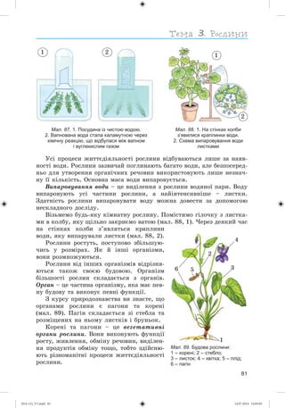 81
21
Мал. 87. 1. Посудина із чистою водою.
2. Вапнована вода стала каламутною через
хімічну реакцію, що відбулася між вапном
і вуглекислим газом
Мал. 88. 1. На стінках колби
з’явилися краплинки води.
2. Схема випаровування води
листками
2
1
Óñі ïðîöåñè æèòòєäіÿëüíîñòі ðîñëèíè âіäáóâàþòüñÿ ëèøå çà íàÿâ-
íîñòі âîäè. Ðîñëèíè çàçâè÷àé ïîãëèíàþòü áàãàòî âîäè, àëå áåçïîñåðåä-
íüî äëÿ óòâîðåííÿ îðãàíі÷íèõ ðå÷îâèí âèêîðèñòîâóþòü ëèøå íåçíà÷-
íó її êіëüêіñòü. Îñíîâíà ìàñà âîäè âèïàðîâóєòüñÿ.
Âèïàðîâóâàííÿ âîäè – öå âèäіëåííÿ ç ðîñëèíè âîäÿíîї ïàðè. Âîäó
âèïàðîâóþòü óñі ÷àñòèíè ðîñëèíè, à íàéіíòåíñèâíіøå – ëèñòêè.
Çäàòíіñòü ðîñëèíè âèïàðîâóâàòè âîäó ìîæíà äîâåñòè çà äîïîìîãîþ
íåñêëàäíîãî äîñëіäó.
Âіçüìåìî áóäü-ÿêó êіìíàòíó ðîñëèíó. Ïîìіñòèìî ãіëî÷êó ç ëèñòêà-
ìè â êîëáó, ÿêó ùіëüíî çàêðèєìî âàòîþ (ìàë. 88, 1). ×åðåç äåÿêèé ÷àñ
íà ñòіíêàõ êîëáè ç’ÿâëÿòüñÿ êðàïëèíè
âîäè, ÿêó âèïàðóâàëè ëèñòêè (ìàë. 88, 2).
Ðîñëèíè ðîñòóòü, ïîñòóïîâî çáіëüøóþ-
÷èñü ó ðîçìіðàõ. ßê é іíøі îðãàíіçìè,
âîíè ðîçìíîæóþòüñÿ.
Ðîñëèíè âіä іíøèõ îðãàíіçìіâ âіäðіçíÿ-
þòüñÿ òàêîæ ñâîєþ áóäîâîþ. Îðãàíіçì
áіëüøîñòі ðîñëèí ñêëàäàєòüñÿ ç îðãàíіâ.
Îðãàí – öå ÷àñòèíà îðãàíіçìó, ÿêà ìàє ïåâ-
íó áóäîâó òà âèêîíóє ïåâíі ôóíêöії.
Ç êóðñó ïðèðîäîçíàâñòâà âè çíàєòå, ùî
îðãàíàìè ðîñëèíè є ïàãîíè òà êîðåíі
(ìàë. 89). Ïàãіí ñêëàäàєòüñÿ çі ñòåáëà òà
ðîçìіùåíèõ íà íüîìó ëèñòêіâ і áðóíüîê.
Êîðåíі òà ïàãîíè – öå âåãåòàòèâíі
îðãàíè ðîñëèíè. Âîíè âèêîíóþòü ôóíêöії
ðîñòó, æèâëåííÿ, îáìіíó ðå÷îâèí, âèäіëåí-
íÿ ïðîäóêòіâ îáìіíó òîùî, òîáòî çäіéñíþ-
þòü ðіçíîìàíіòíі ïðîöåñè æèòòєäіÿëüíîñòі
ðîñëèíè.
Мал. 89. Будова рослини:
1 – корені; 2 – стебло;
3 – листок; 4 – квітка; 5 – плід;
6 – пагін
1
2
3
4
56
(014-13)_V1.indd 81 14.07.2014 14:05:05
 