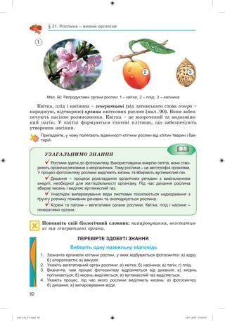 82
§ 21. Рослина – живий організм
2 3
1
Мал. 90. Репродуктивні органи рослин: 1 – квітка; 2 – плід; 3 – насінина
Êâіòêà, ïëіä і íàñіíèíà – ãåíåðàòèâíі (âіä ëàòèíñüêîãî ñëîâà ãåíåðî –
íàðîäæóþ, âіäòâîðþþ) îðãàíè êâіòêîâèõ ðîñëèí (ìàë. 90). Âîíè çàáåç-
ïå÷óþòü íàñіííå ðîçìíîæåííÿ. Êâіòêà – öå âêîðî÷åíèé òà âèäîçìіíå-
íèé ïàãіí. Ó êâіòöі ôîðìóþòüñÿ ñòàòåâі êëіòèíè, ùî çàáåçïå÷óþòü
óòâîðåííÿ íàñіííÿ.
Пригадайте, у чому полягають відмінності клітини рослин від клітин тварин і бак-
терій.
ÓÇÀÃÀËÜÍÈÌÎ ÇÍÀÍÍß
Рослини здатні до фотосинтезу. Використовуючи енергію світла, вони ство-
рюють органічні речовини з неорганічних. Тому рослини – це автотрофні організми.
У процесі фотосинтезу рослини виділяють кисень та вбирають вуглекислий газ.
Дихання – процеси розкладання органічних речовин з вивільненням
енергії, необхідної для життєдіяльності організму. Під час дихання рослина
вбирає кисень і виділяє вуглекислий газ.
Унаслідок випаровування води листками посилюється надходження з
ґрунту розчину поживних речовин та охолоджується рослина.
Корені та пагони – вегетативні органи рослини. Квітка, плід і насіння –
генеративні органи.
Ïîïîâíіòü ñâіé áіîëîãі÷íèé ñëîâíèê: âèïàðîâóâàííÿ, âåãåòàòèâ-
íі òà ãåíåðàòèâíі îðãàíè.
ПЕРЕВІРТЕ ЗДОБУТІ ЗНАННЯ
Виберіть одну правильну відповідь
1. Зазначте органели клітини рослин, у яких відбувається фотосинтез: а) ядро;
б) хлоропласти; в) вакуолі.
2. Укажіть вегетативний орган рослини: а) квітка; б) насінина; в) пагін; г) плід.
3. Визначте, чим процес фотосинтезу відрізняється від дихання: а) кисень
поглинається; б) кисень виділяється; в) вуглекислий газ виділяється.
4. Укажіть процес, під час якого рослини виділяють кисень: а) фотосинтез;
б) дихання; в) випаровування води.
(014-13)_V1.indd 82 14.07.2014 14:05:05
 