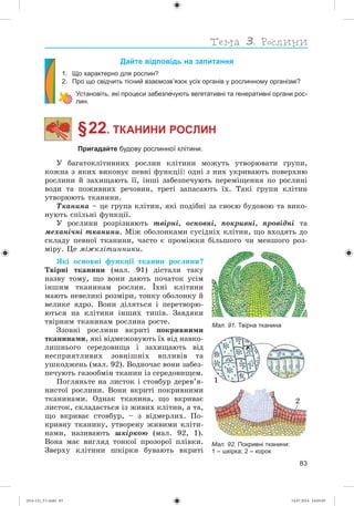 83
Дайте відповідь на запитання
1. Що характерно для рослин?
2. Про що свідчить тісний взаємозв’язок усіх органів у рослинному організмі?
Установіть, які процеси забезпечують вегетативні та генеративні органи рос-
лин.
§ 22. ТКАНИНИ РОСЛИН
Пригадайте будову рослинної клітини.
Ó áàãàòîêëіòèííèõ ðîñëèí êëіòèíè ìîæóòü óòâîðþâàòè ãðóïè,
êîæíà ç ÿêèõ âèêîíóє ïåâíі ôóíêöії: îäíі ç íèõ óêðèâàþòü ïîâåðõíþ
ðîñëèíè é çàõèùàþòü її, іíøі çàáåçïå÷óþòü ïåðåìіùåííÿ ïî ðîñëèíі
âîäè òà ïîæèâíèõ ðå÷îâèí, òðåòі çàïàñàþòü їõ. Òàêі ãðóïè êëіòèí
óòâîðþþòü òêàíèíè.
Òêàíèíà – öå ãðóïà êëіòèí, ÿêі ïîäіáíі çà ñâîєþ áóäîâîþ òà âèêî-
íóþòü ñïіëüíі ôóíêöії.
Ó ðîñëèíè ðîçðіçíÿþòü òâіðíі, îñíîâíі, ïîêðèâíі, ïðîâіäíі òà
ìåõàíі÷íі òêàíèíè. Ìіæ îáîëîíêàìè ñóñіäíіõ êëіòèí, ùî âõîäÿòü äî
ñêëàäó ïåâíîї òêàíèíè, ÷àñòî є ïðîìіæêè áіëüøîãî ÷è ìåíøîãî ðîç-
ìіðó. Öå ìіæêëіòèííèêè.
ßêі îñíîâíі ôóíêöії òêàíèí ðîñëèíè?
Òâіðíі òêàíèíè (ìàë. 91) äіñòàëè òàêó
íàçâó òîìó, ùî âîíè äàþòü ïî÷àòîê óñіì
іíøèì òêàíèíàì ðîñëèí. Їõíі êëіòèíè
ìàþòü íåâåëèêі ðîçìіðè, òîíêó îáîëîíêó é
âåëèêå ÿäðî. Âîíè äіëÿòüñÿ і ïåðåòâîðþ-
þòüñÿ íà êëіòèíè іíøèõ òèïіâ. Çàâäÿêè
òâіðíèì òêàíèíàì ðîñëèíà ðîñòå.
Ççîâíі ðîñëèíè âêðèòі ïîêðèâíèìè
òêàíèíàìè, ÿêі âіäìåæîâóþòü їõ âіä íàâêî-
ëèøíüîãî ñåðåäîâèùà і çàõèùàþòü âіä
íåñïðèÿòëèâèõ çîâíіøíіõ âïëèâіâ òà
óøêîäæåíü (ìàë. 92). Âîäíî÷àñ âîíè çàáåç-
ïå÷óþòü ãàçîîáìіí òêàíèí іç ñåðåäîâèùåì.
Ïîãëÿíüòå íà ëèñòîê і ñòîâáóð äåðåâ’ÿ-
íèñòîї ðîñëèíè. Âîíè âêðèòі ïîêðèâíèìè
òêàíèíàìè. Îäíàê òêàíèíà, ùî âêðèâàє
ëèñòîê, ñêëàäàєòüñÿ іç æèâèõ êëіòèí, à òà,
ùî âêðèâàє ñòîâáóð, – ç âіäìåðëèõ. Ïî-
êðèâíó òêàíèíó, óòâîðåíó æèâèìè êëіòè-
íàìè, íàçèâàþòü øêіðêîþ (ìàë. 92, 1).
Âîíà ìàє âèãëÿä òîíêîї ïðîçîðîї ïëіâêè.
Çâåðõó êëіòèíè øêіðêè áóâàþòü âêðèòі
Мал. 91. Твірна тканина
Мал. 92. Покривні тканини:
1 – шкірка; 2 – корок
2
1
(014-13)_V1.indd 83 14.07.2014 14:05:05
 