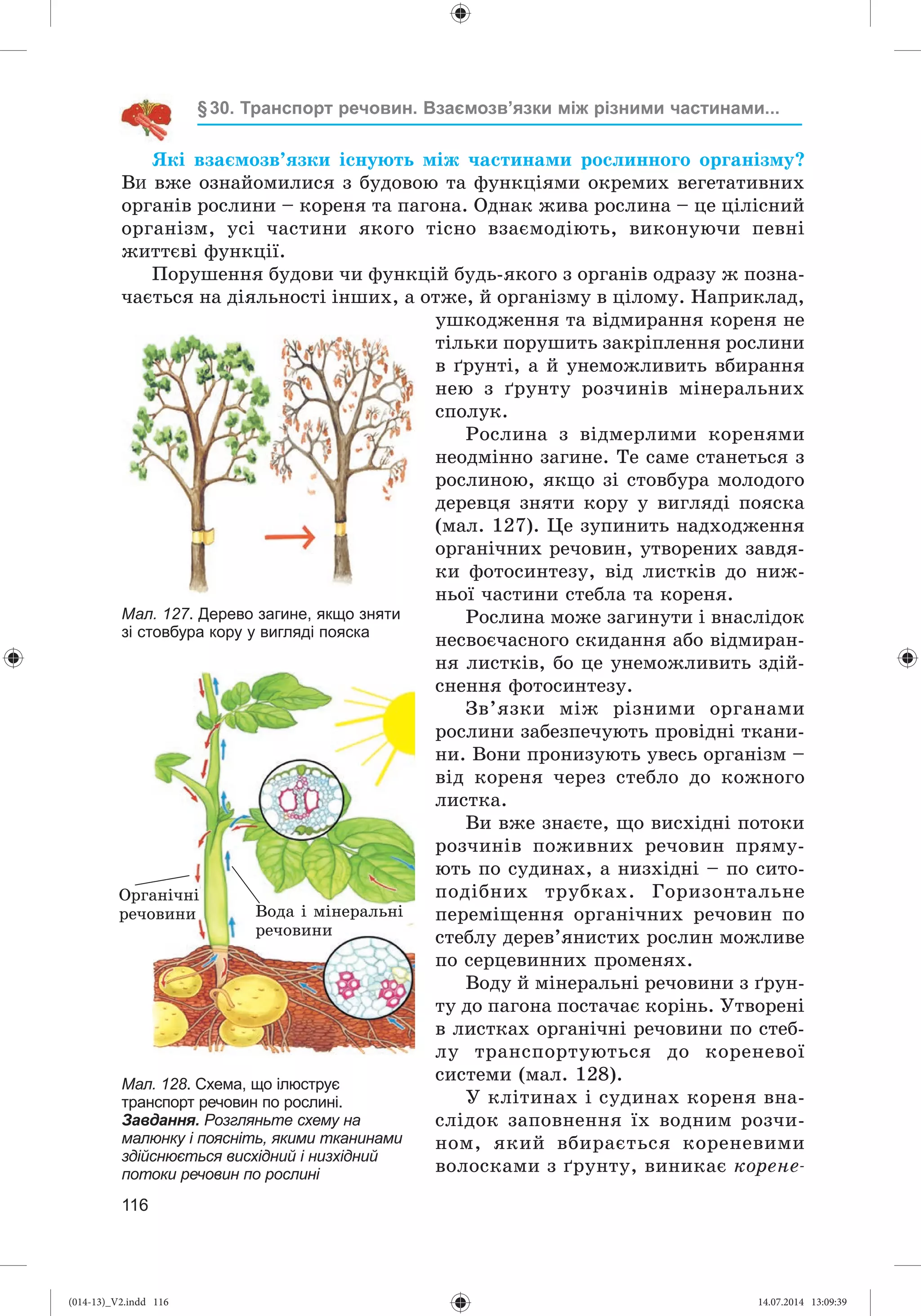 Slide 117