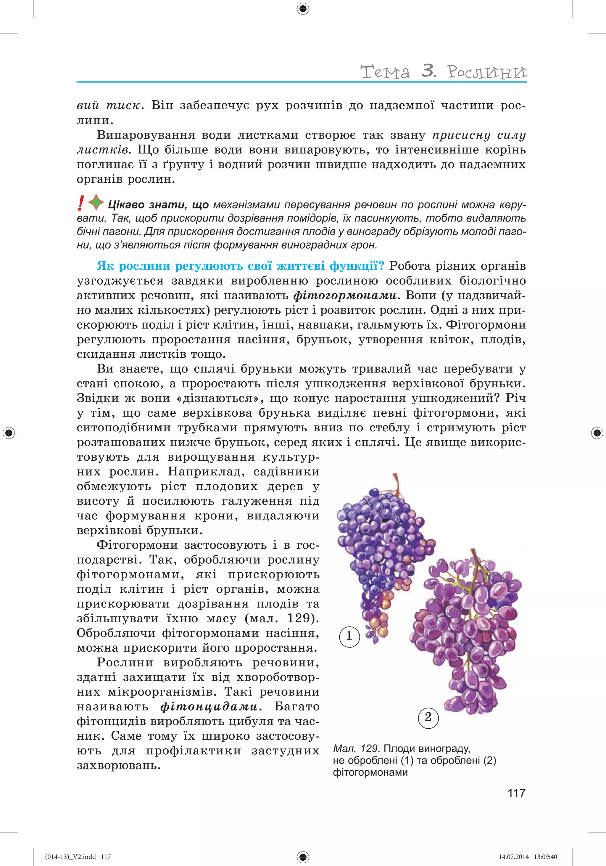 Slide 118