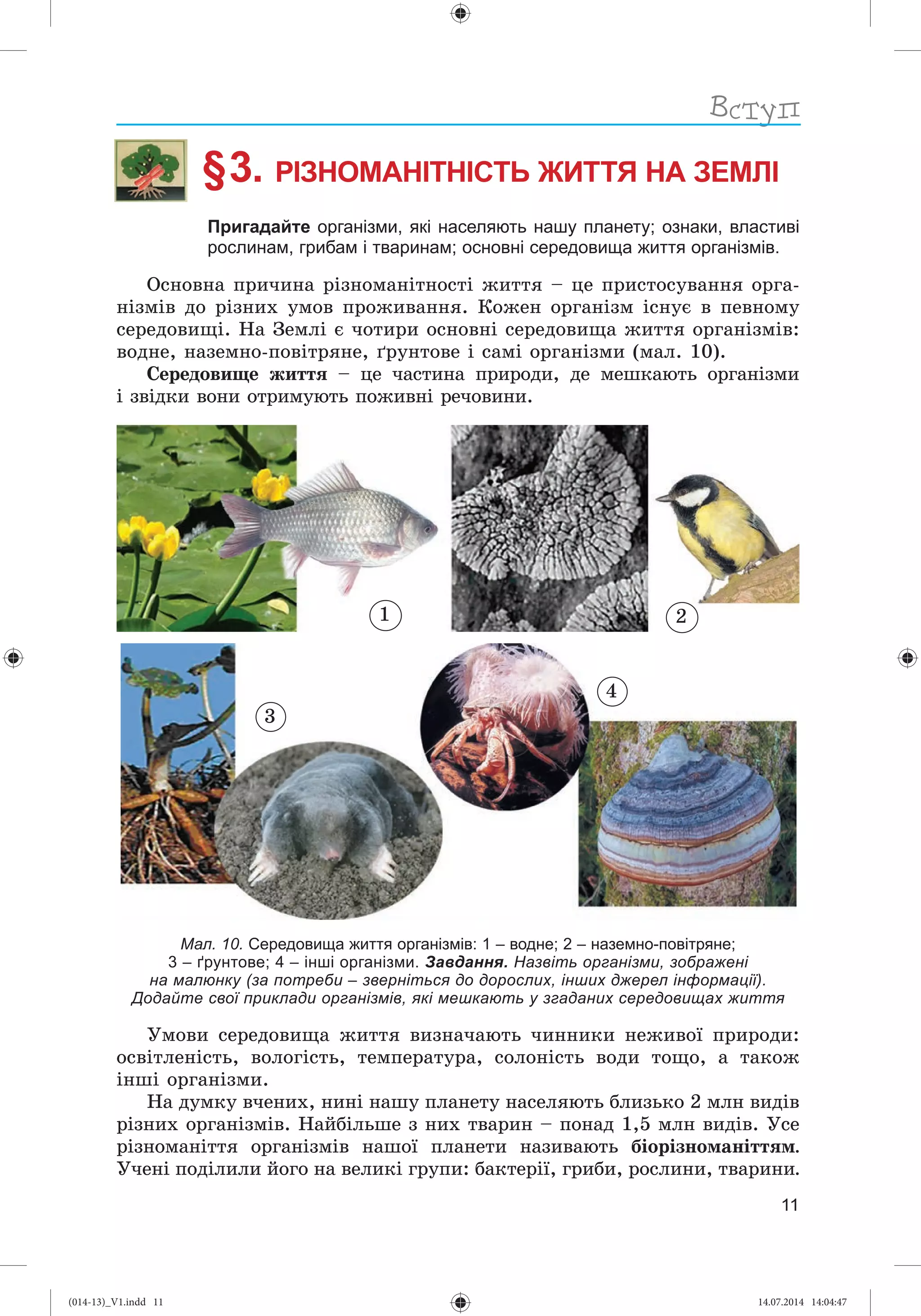 Slide 12