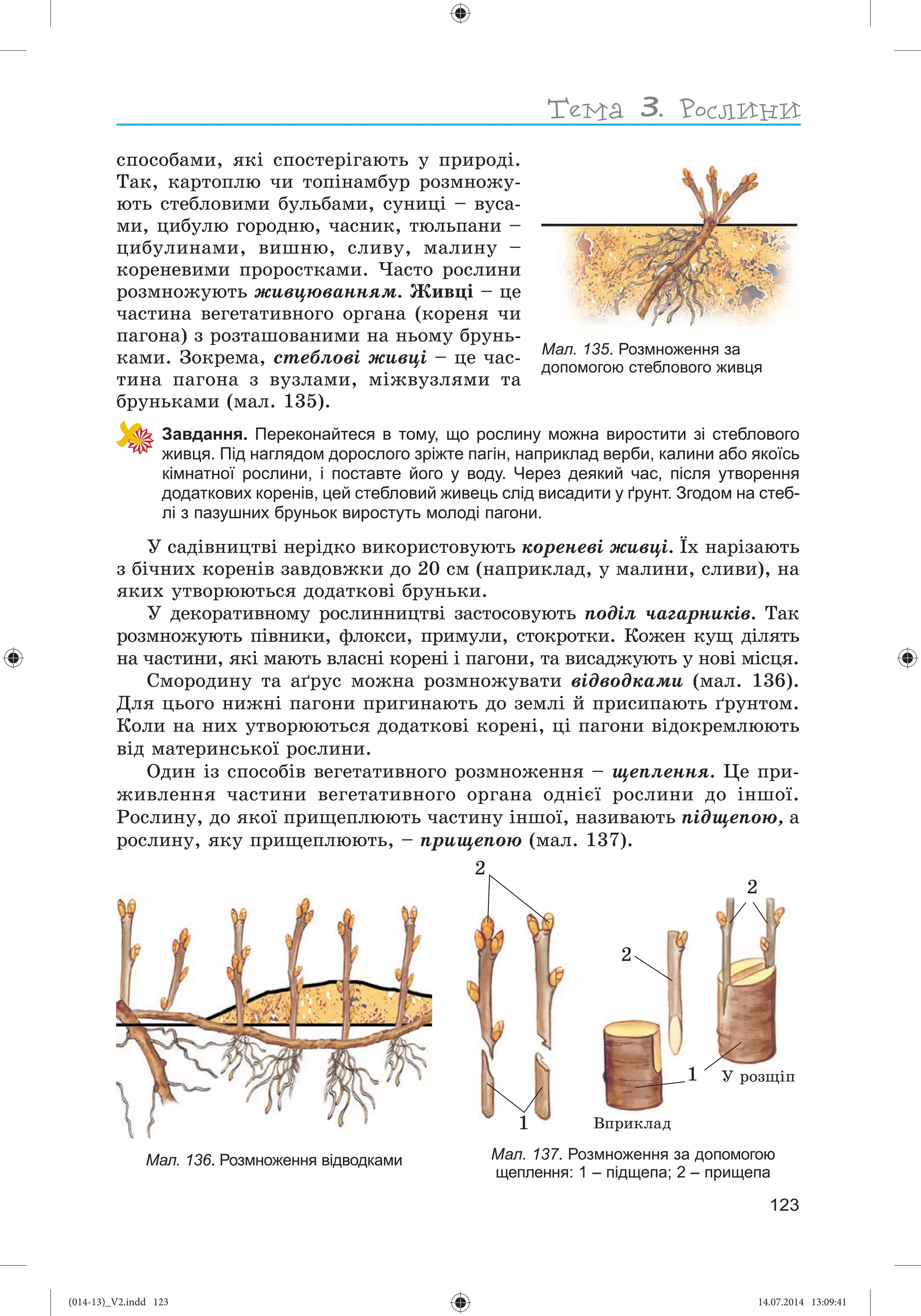 Slide 124
