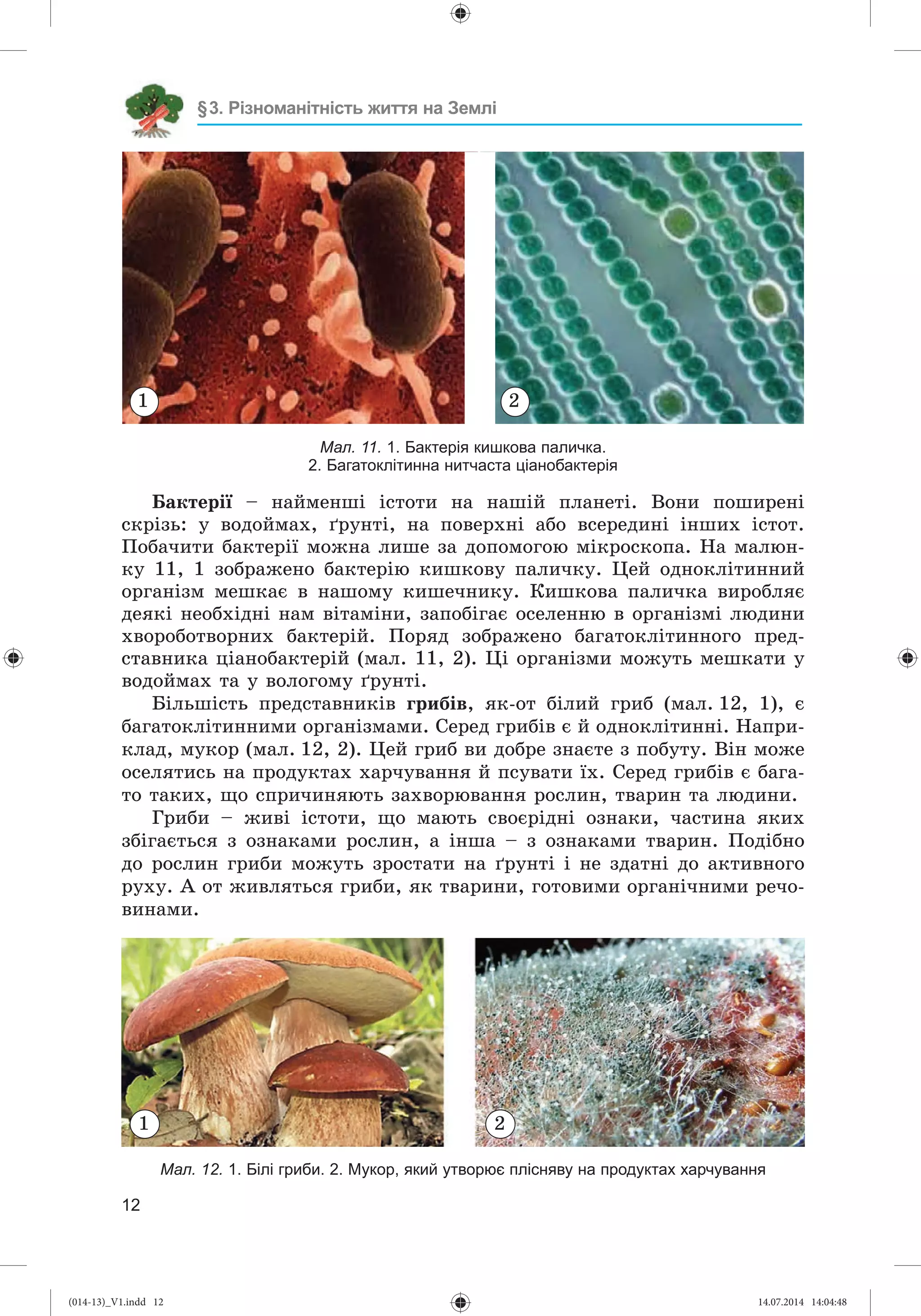 Slide 13