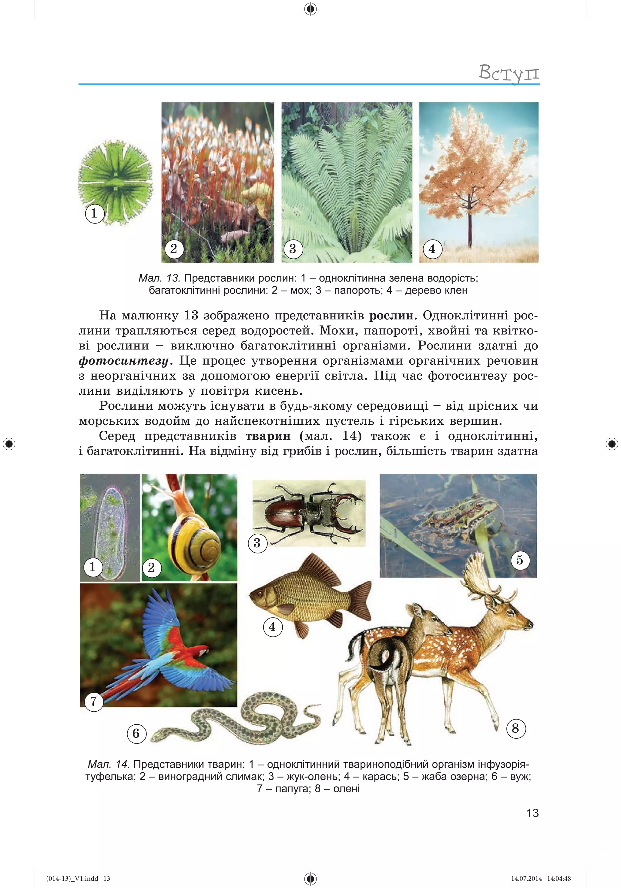 Slide 14