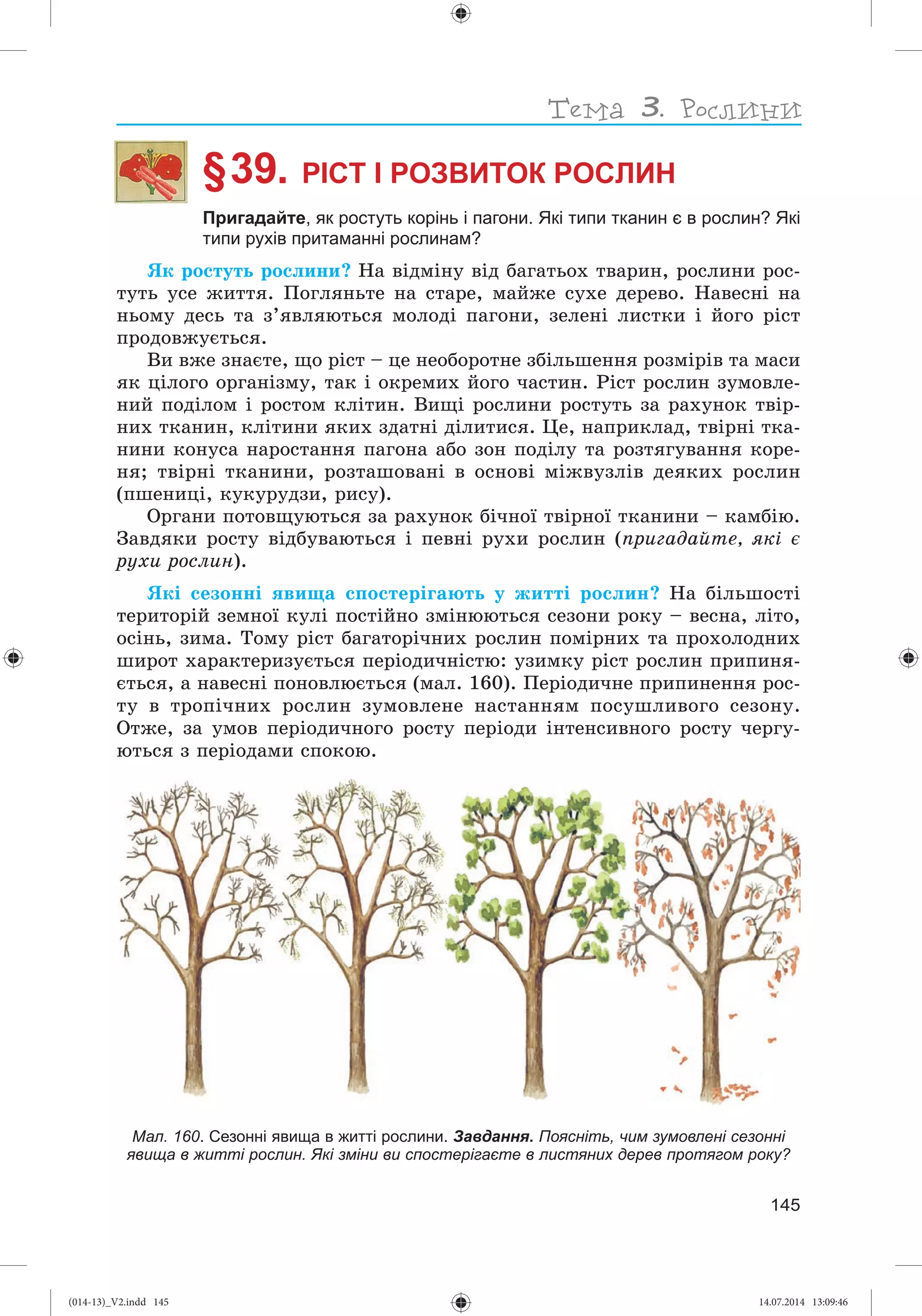 Slide 146