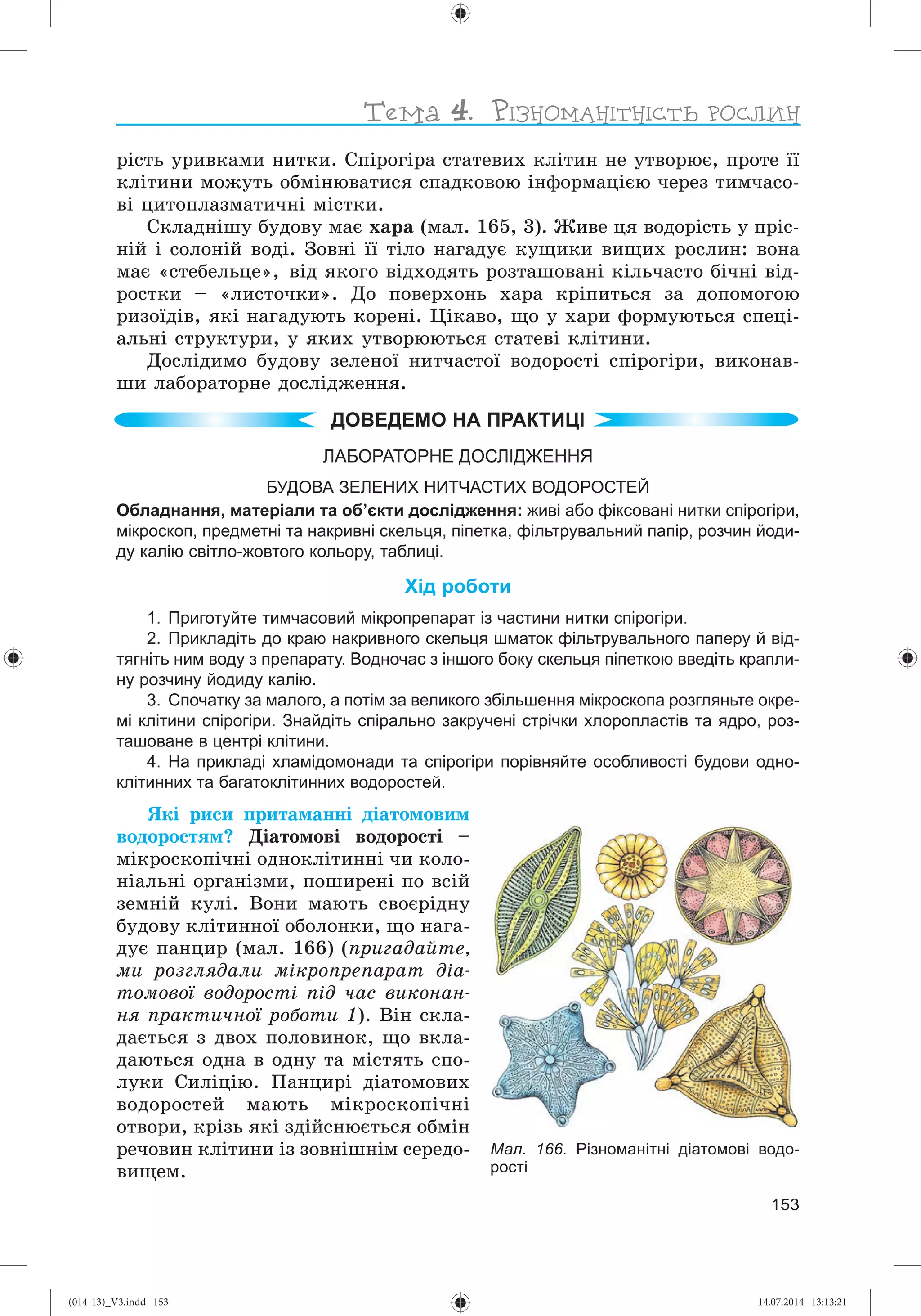 Slide 154
