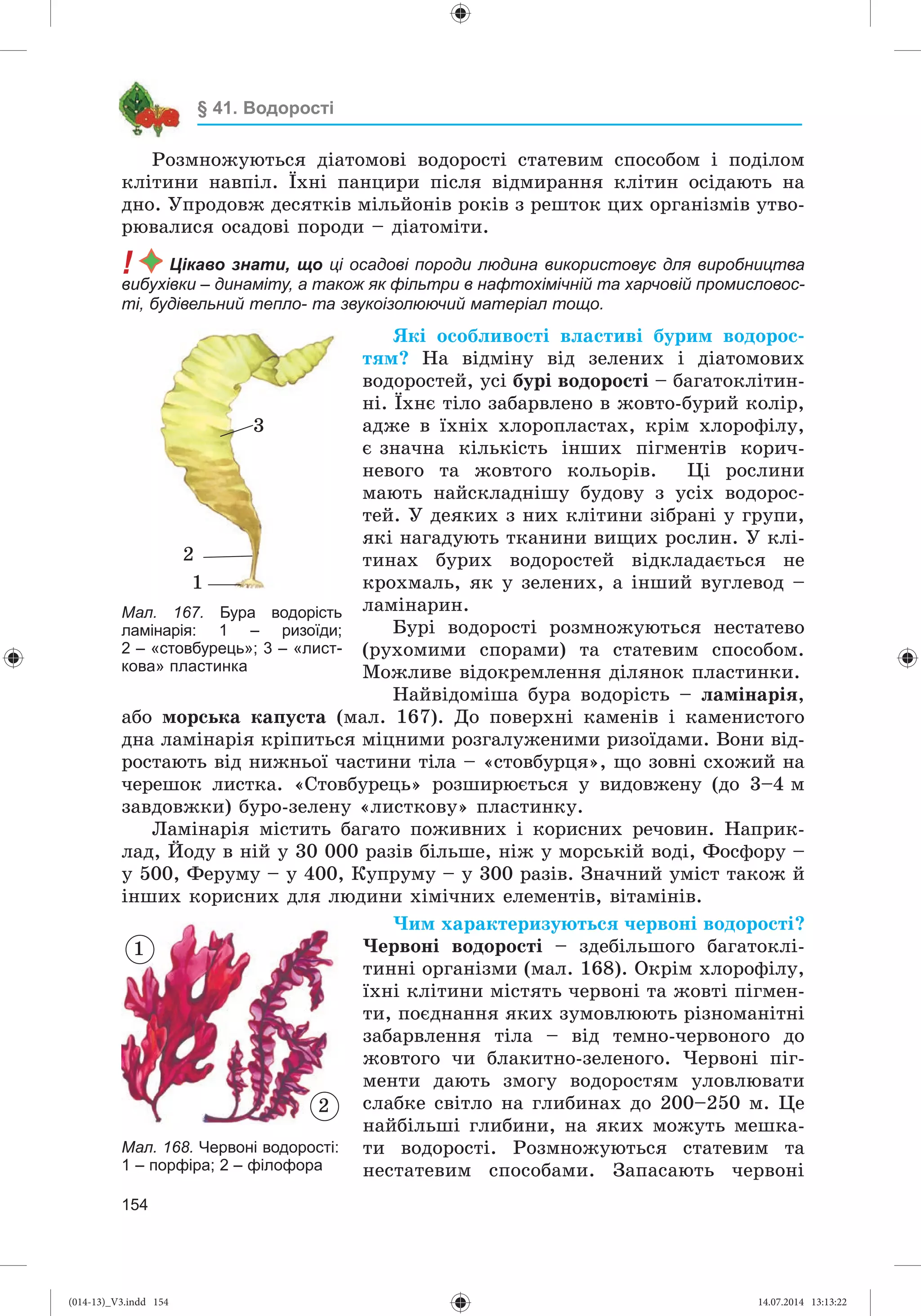 Slide 155