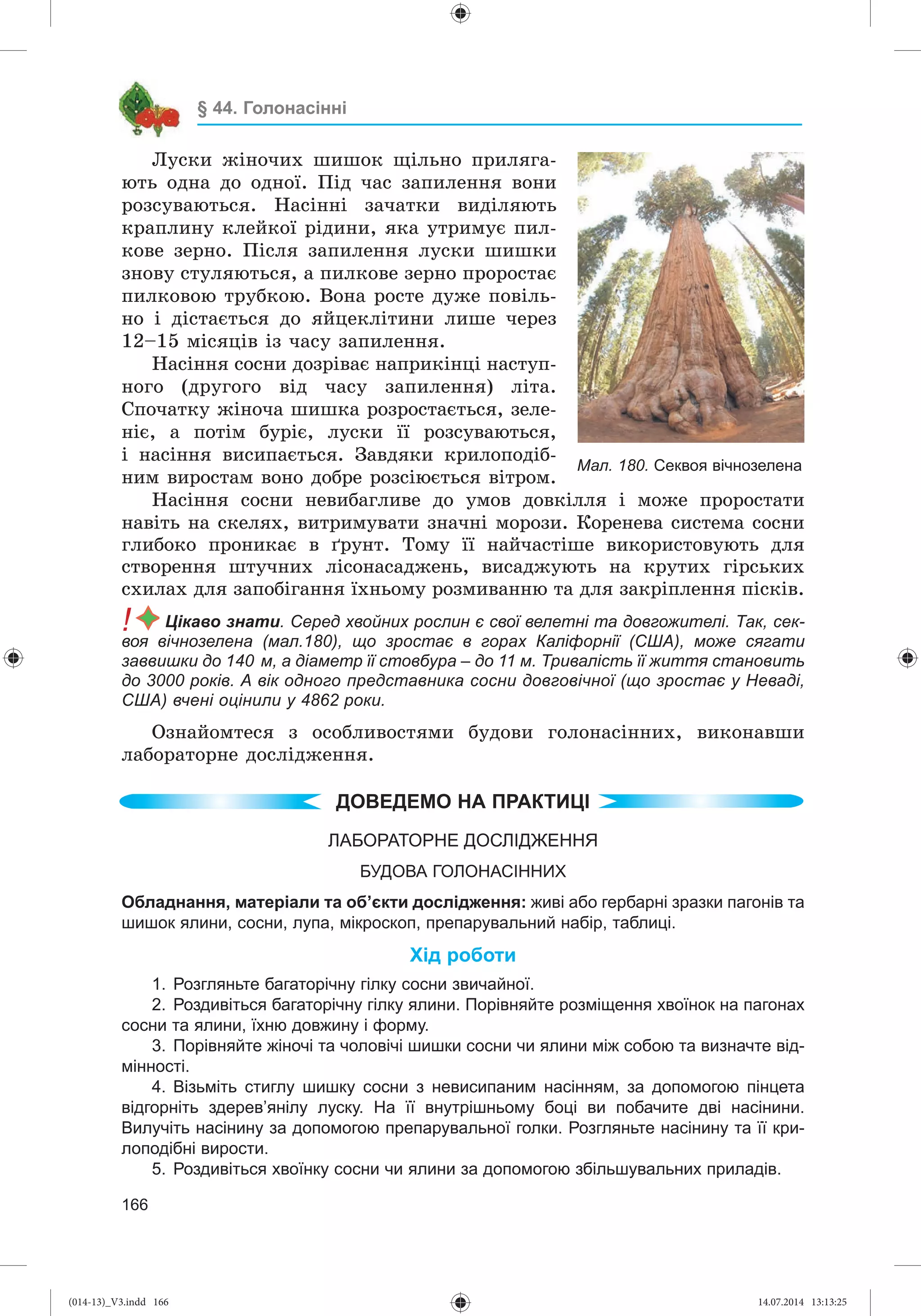 Slide 167