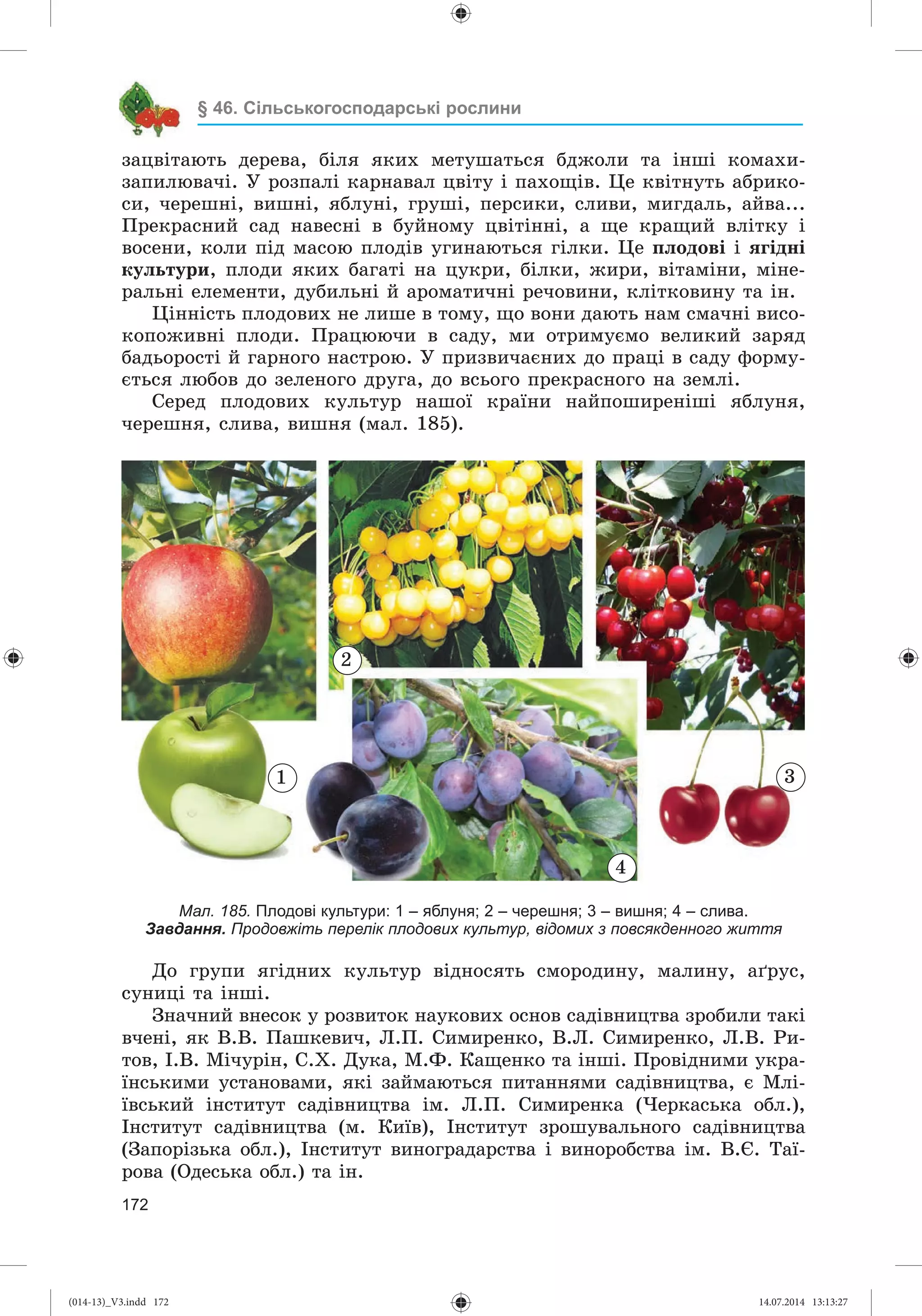 Slide 173