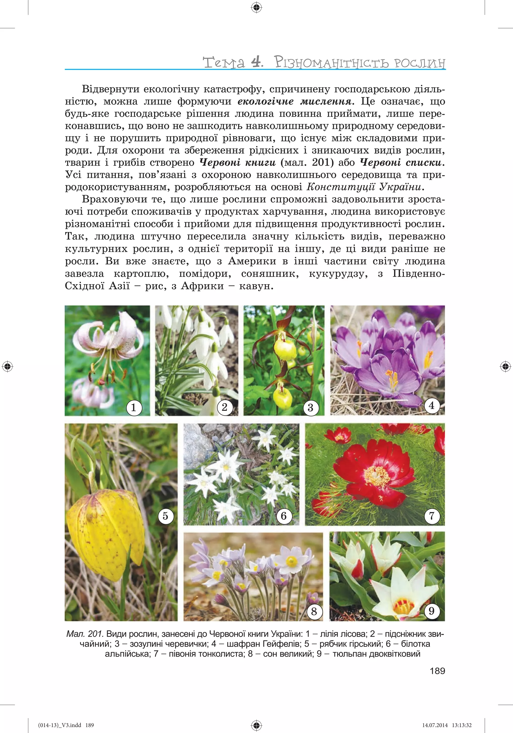 Slide 190