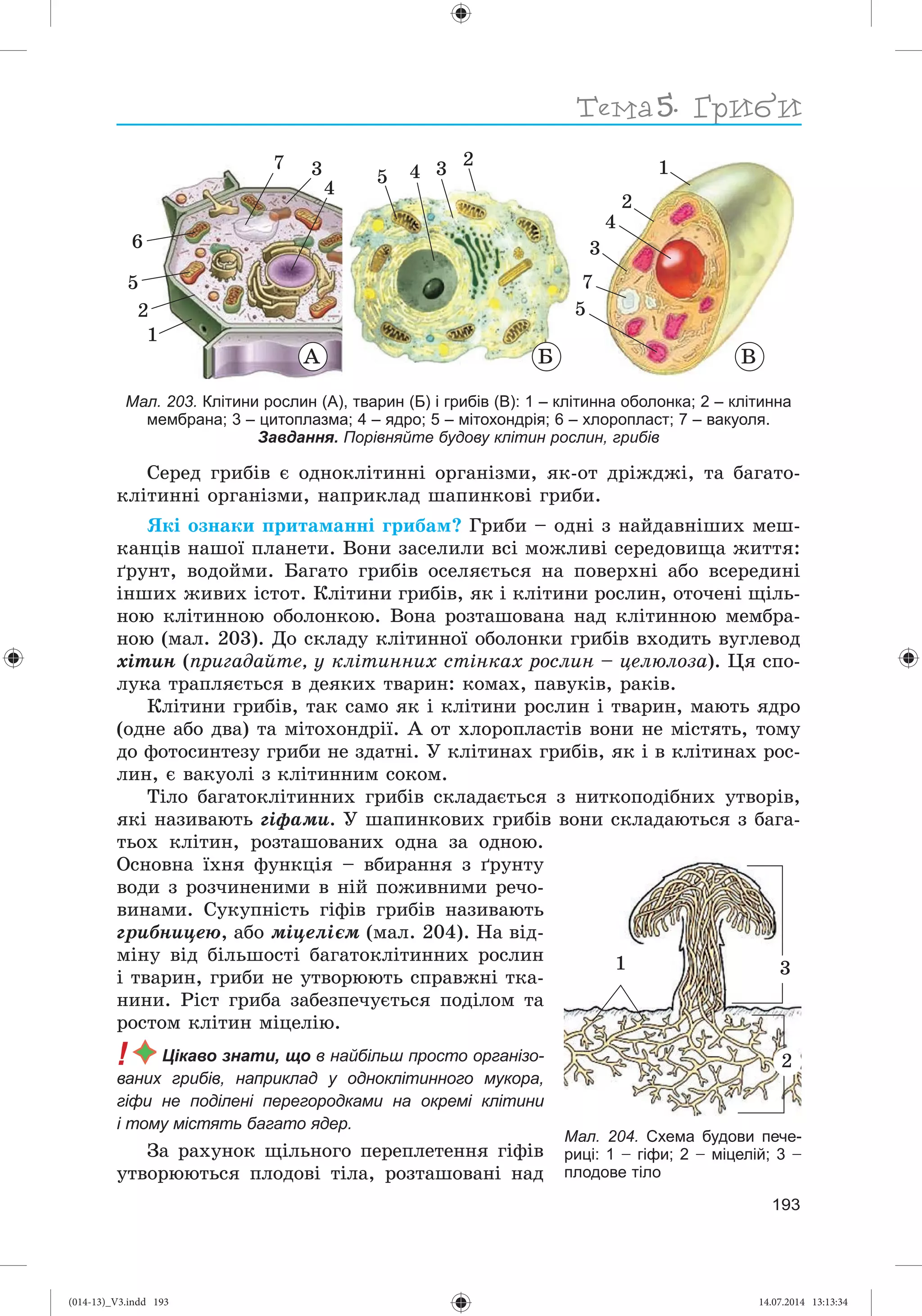 Slide 194