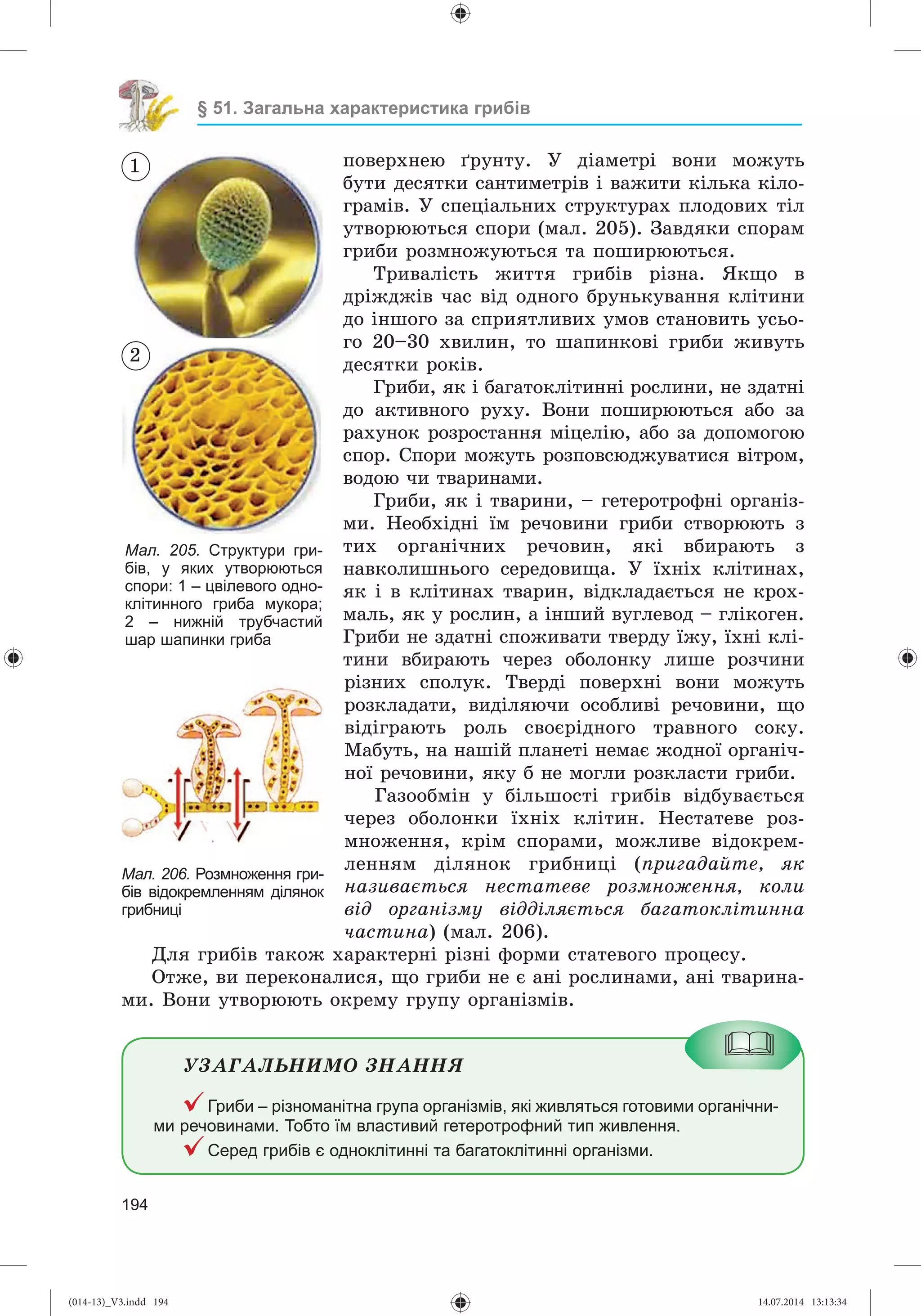 Slide 195