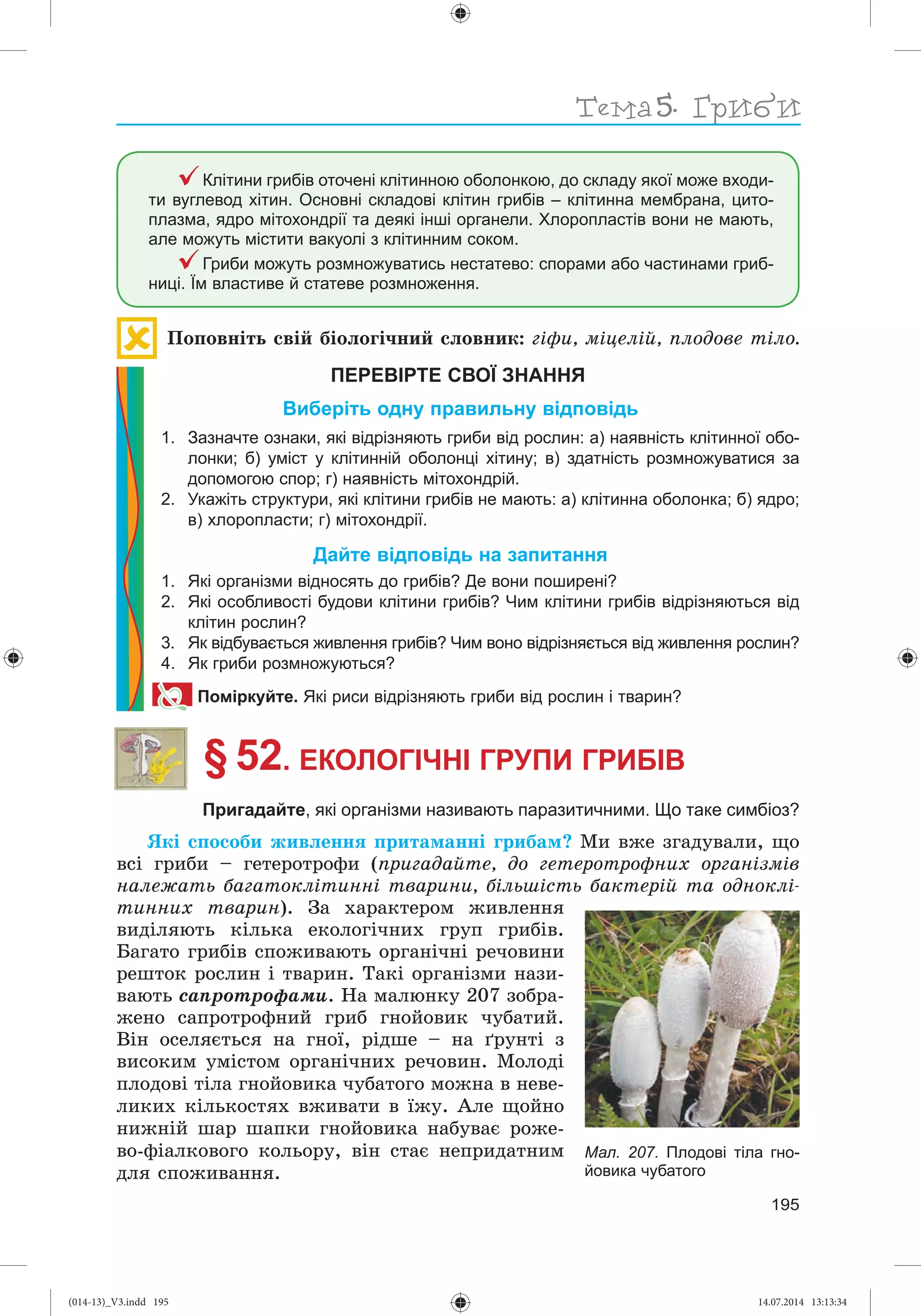 Slide 196
