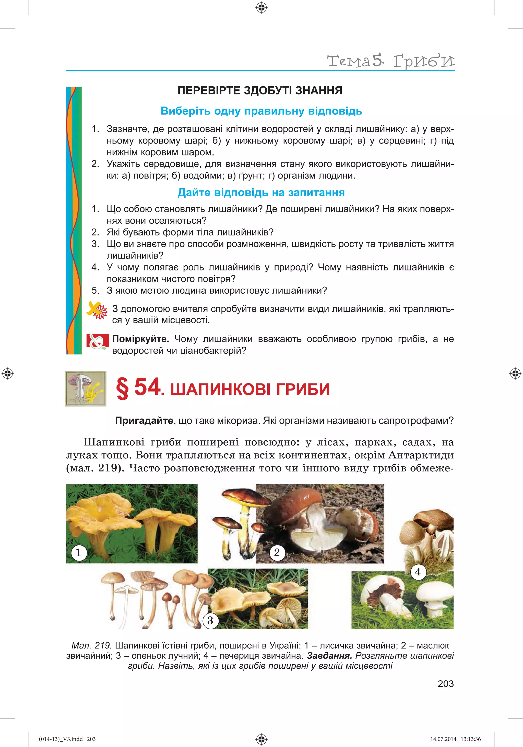 Slide 204