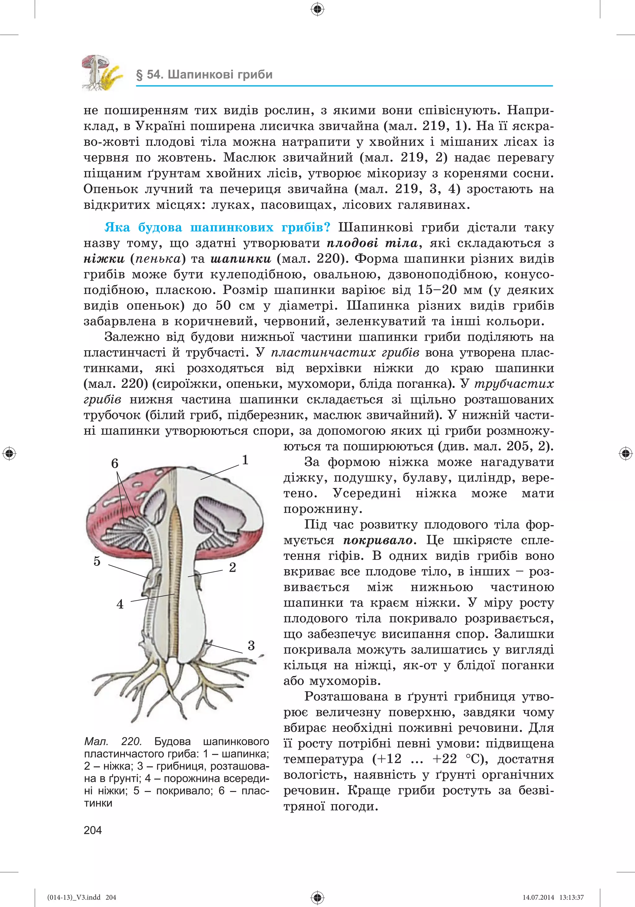 Slide 205