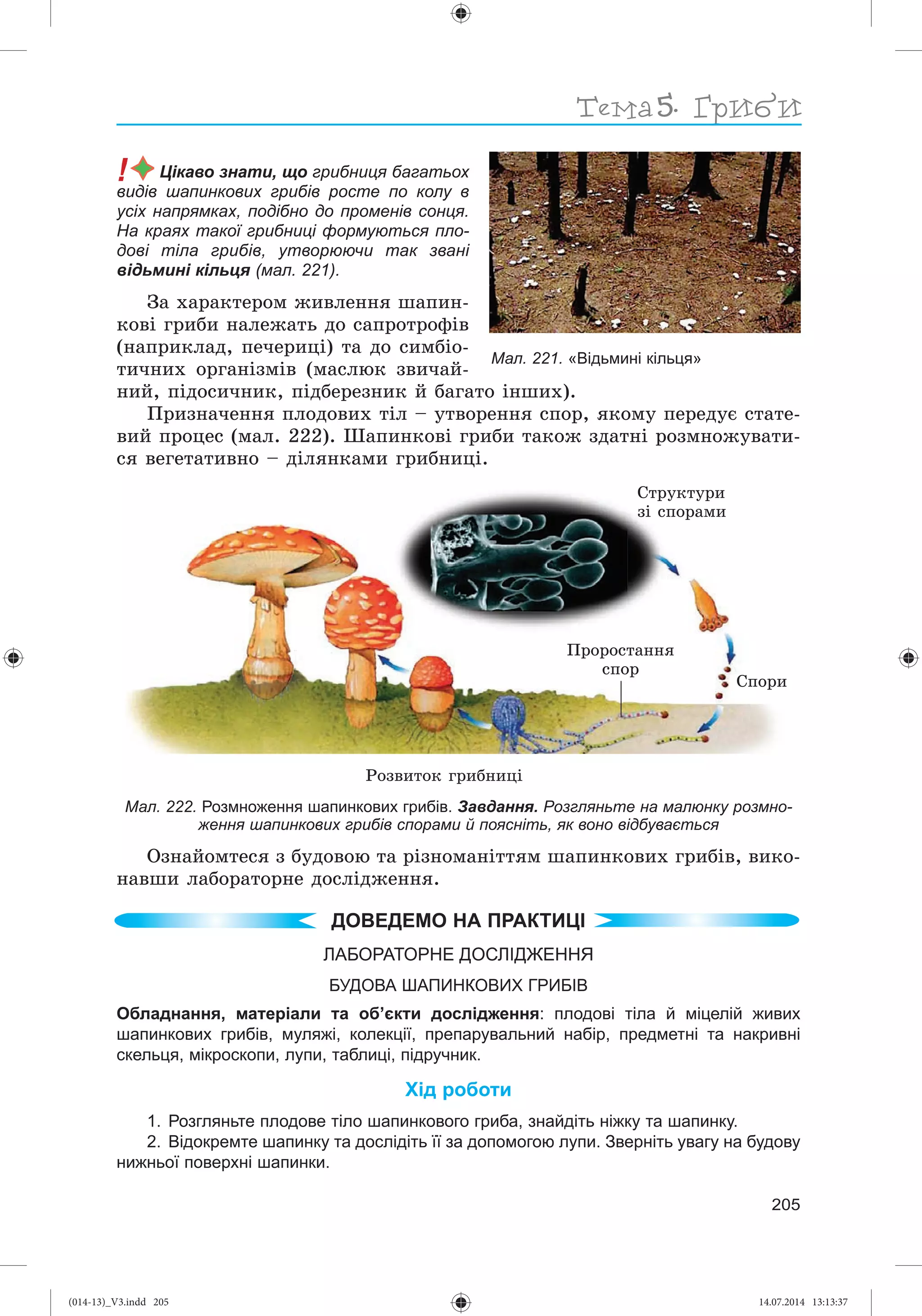 Slide 206