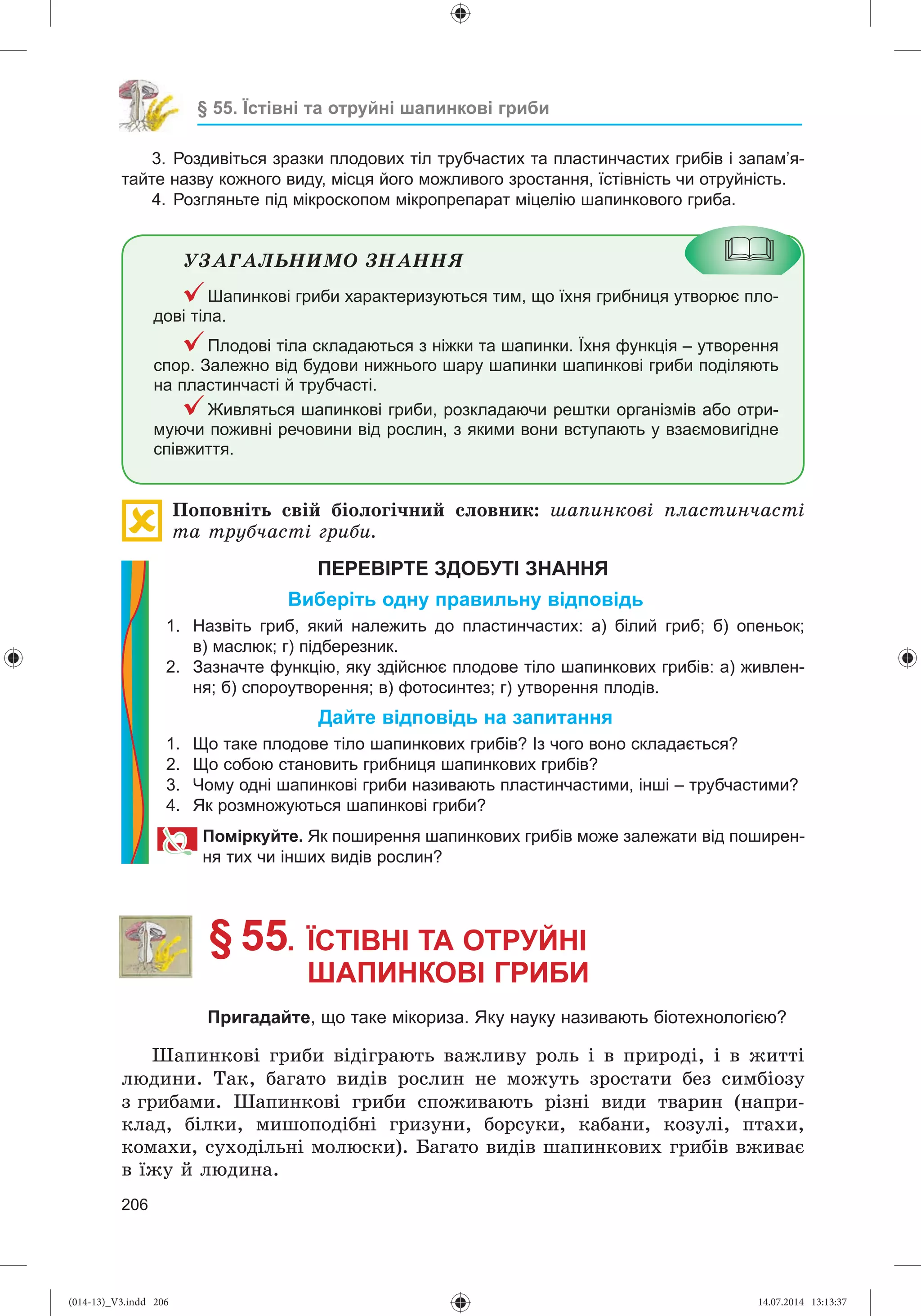 Slide 207