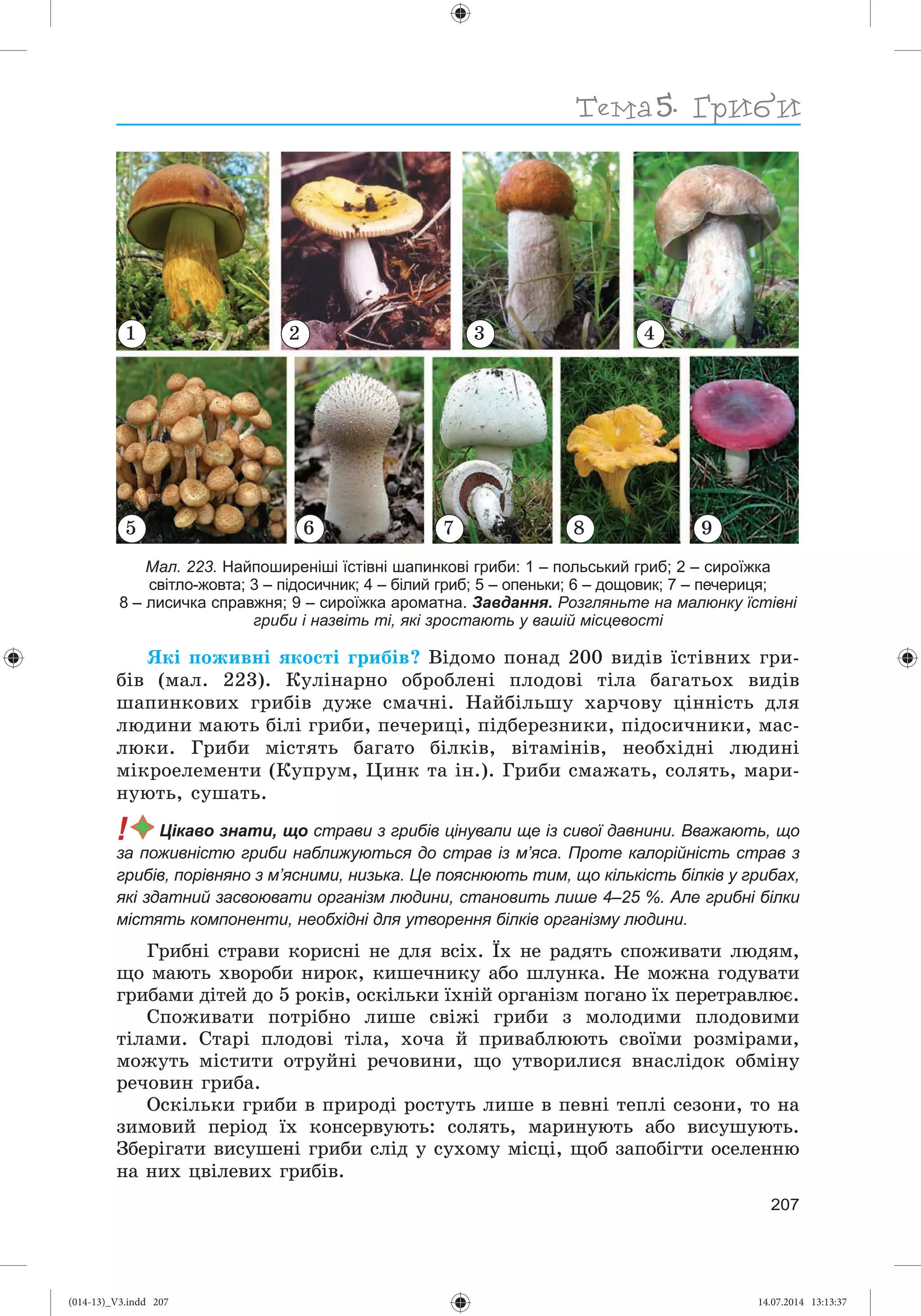 Slide 208