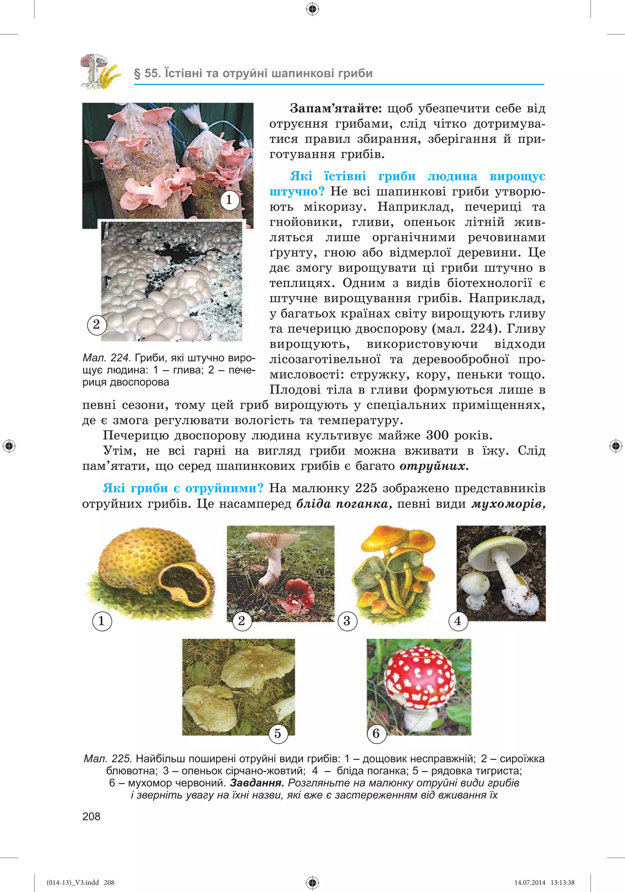 Slide 209