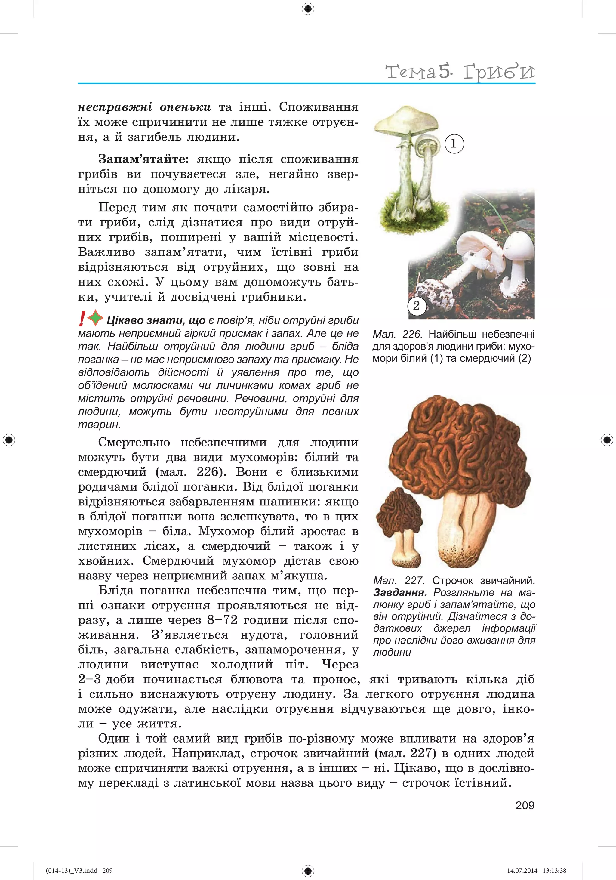Slide 210