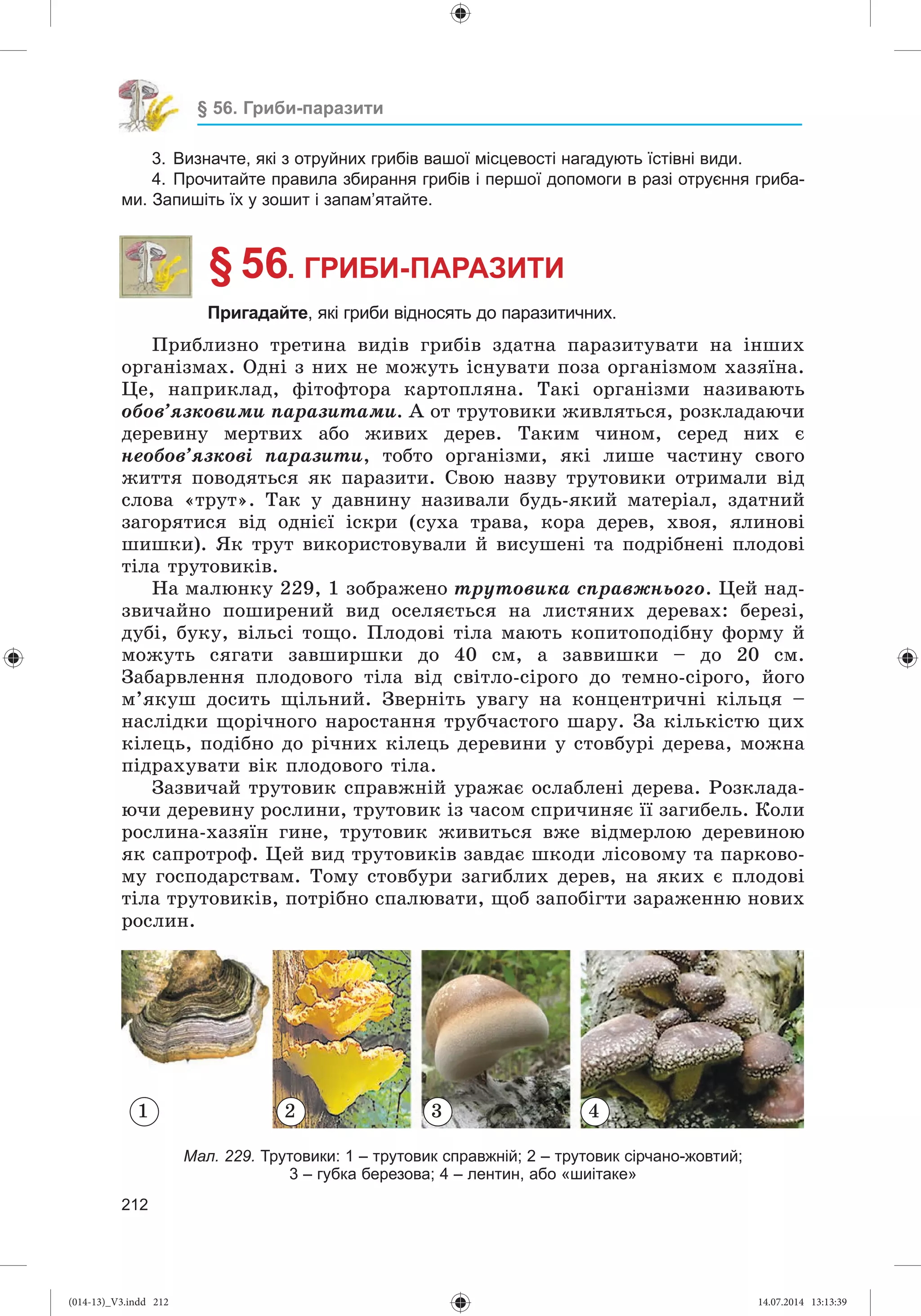 Slide 213