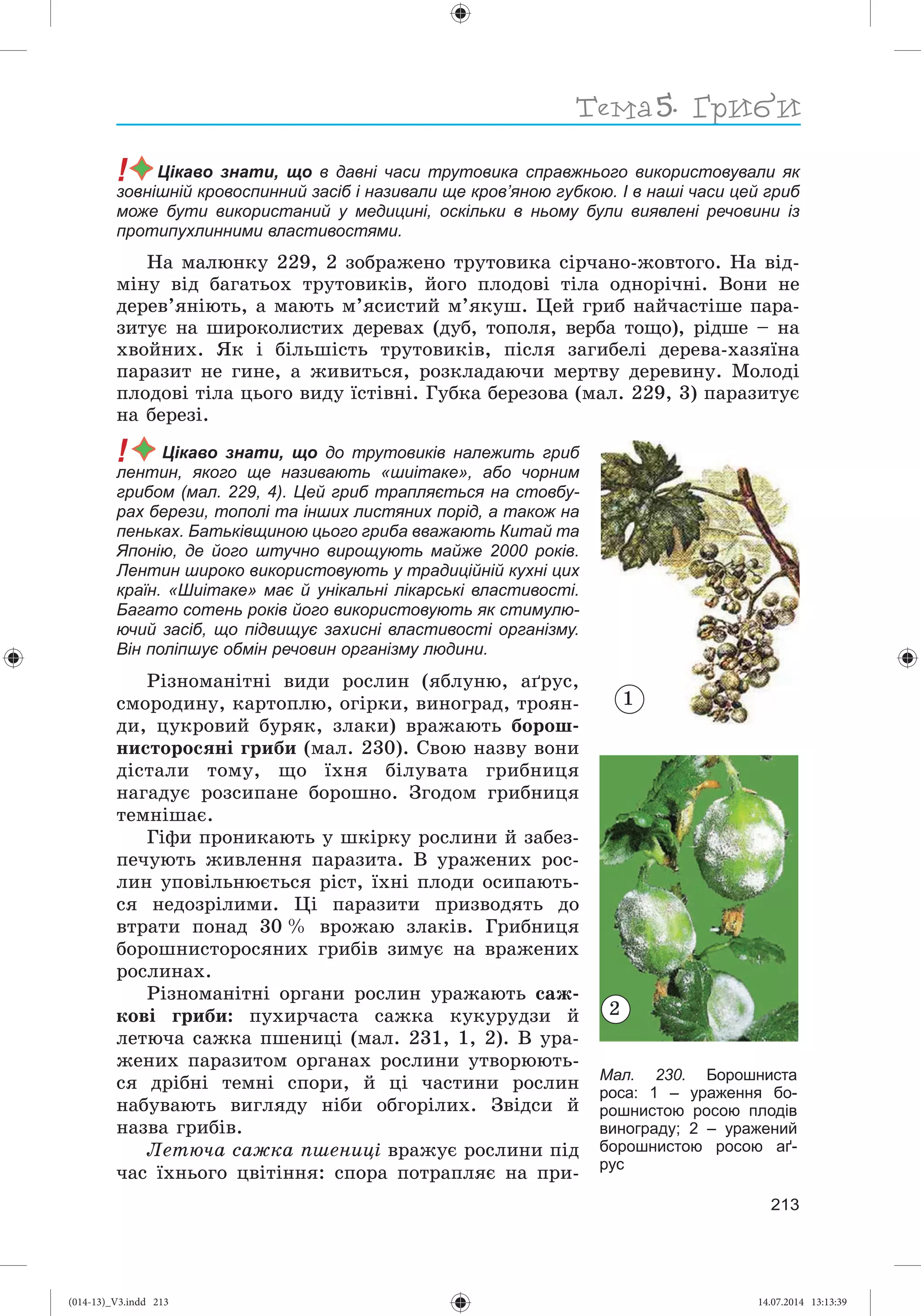 Slide 214