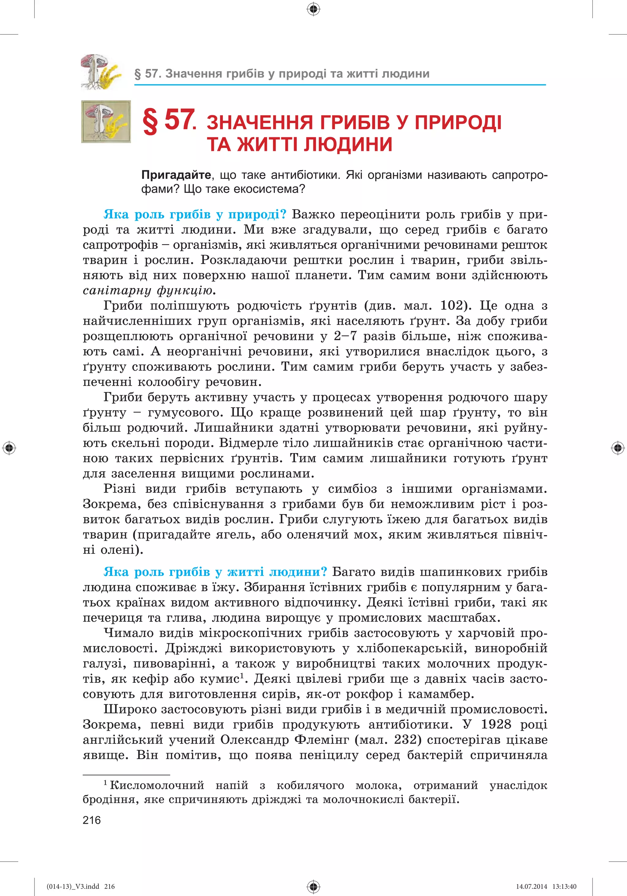 Slide 217