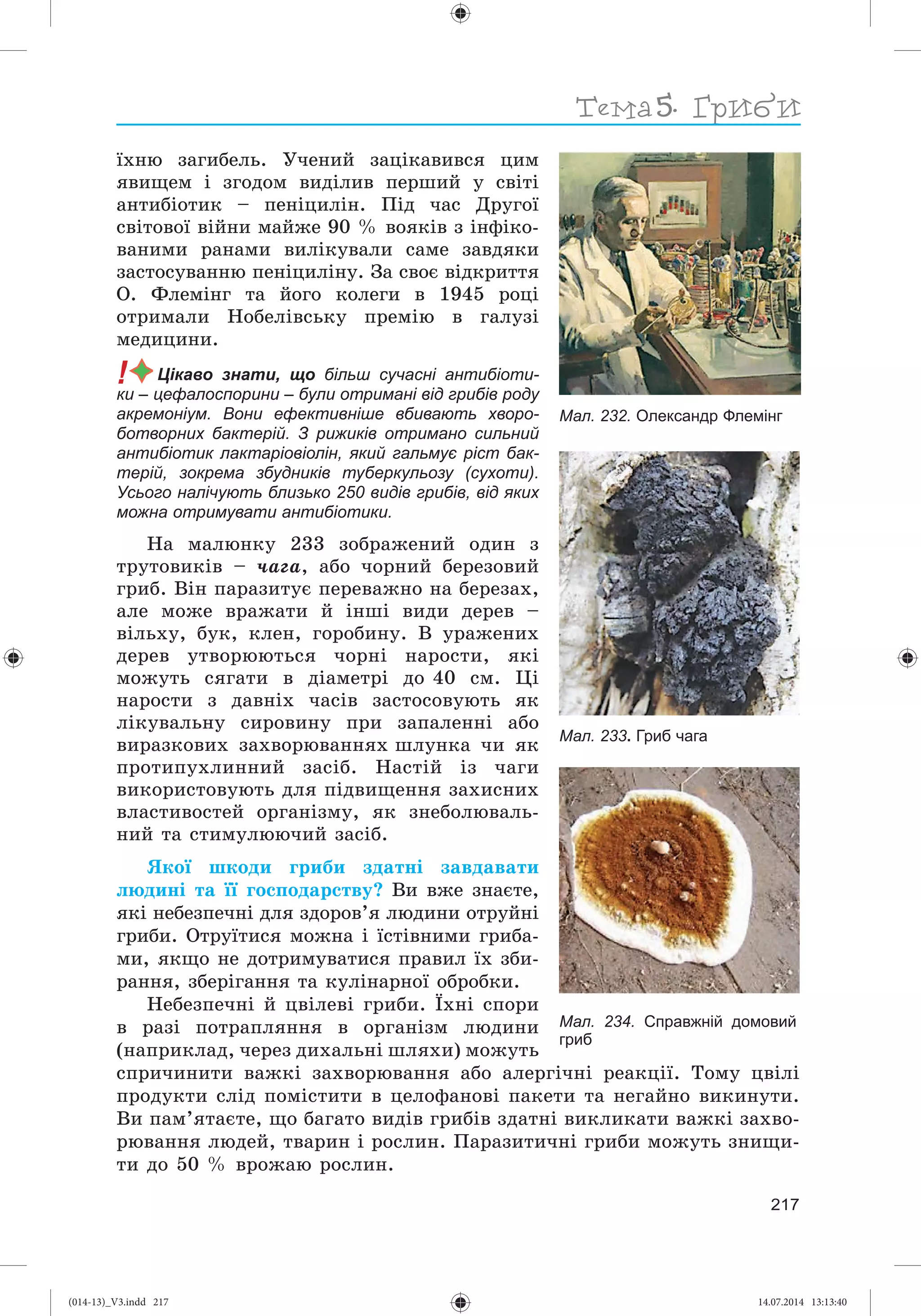 Slide 218