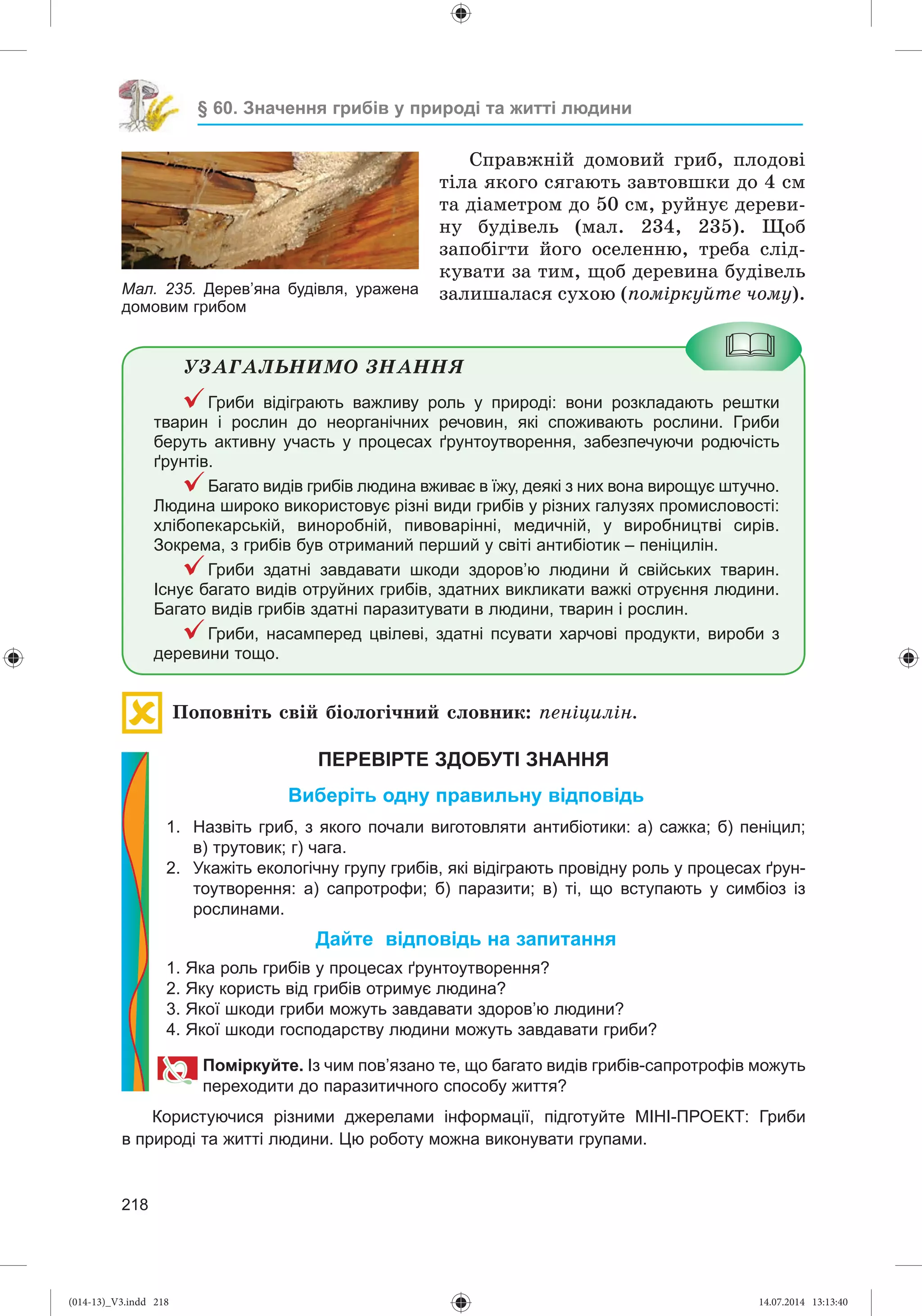 Slide 219