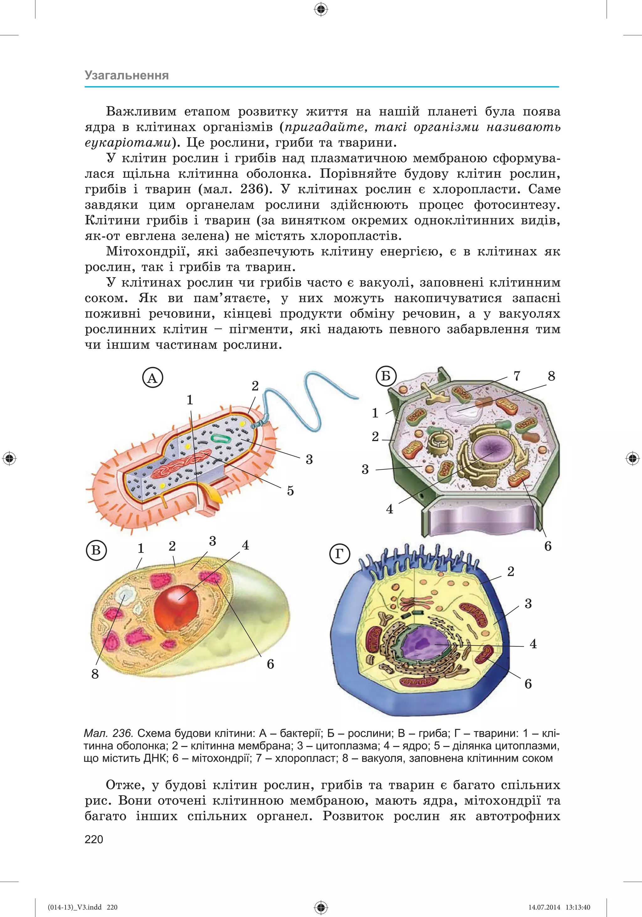 Slide 221