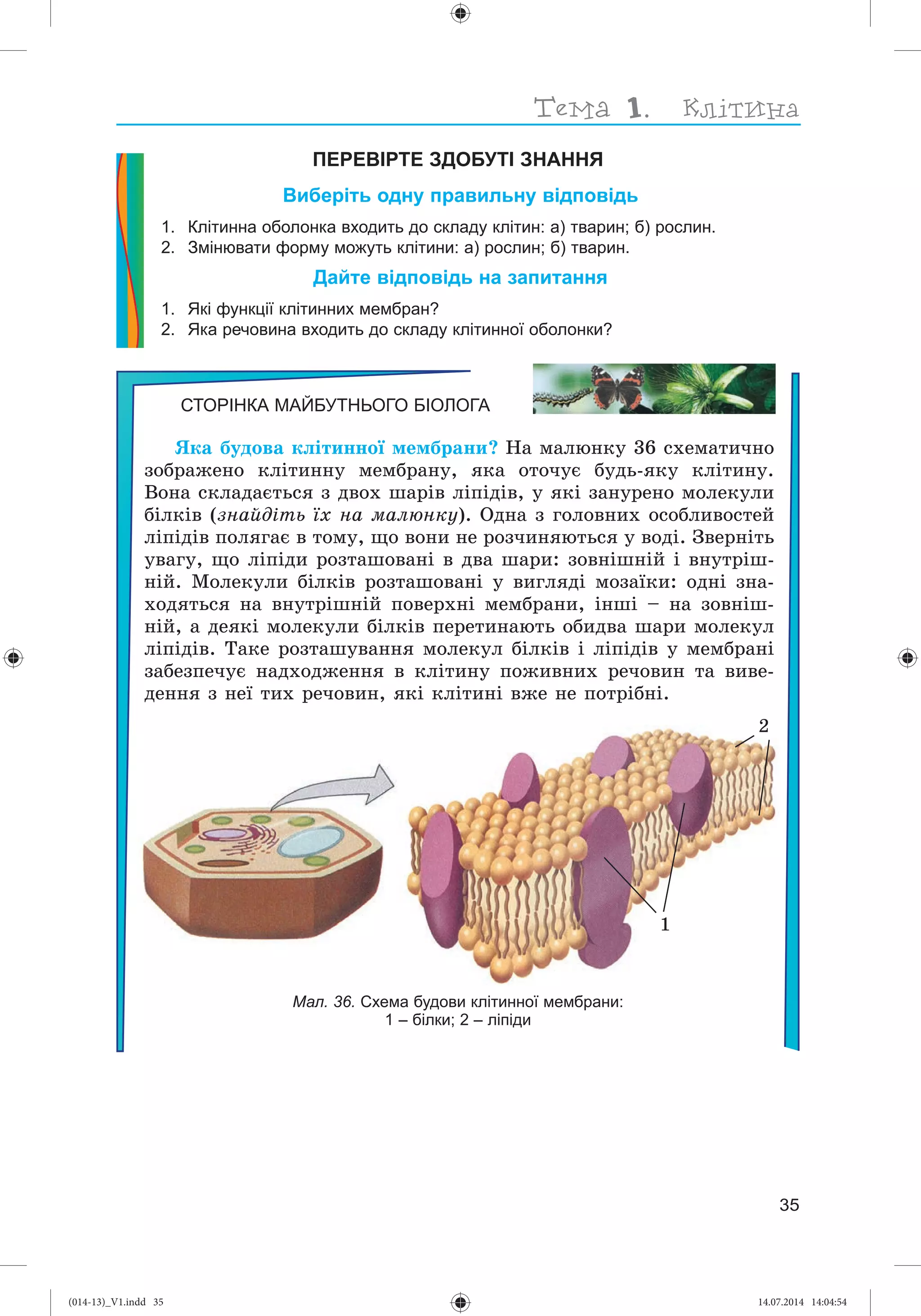 Slide 36