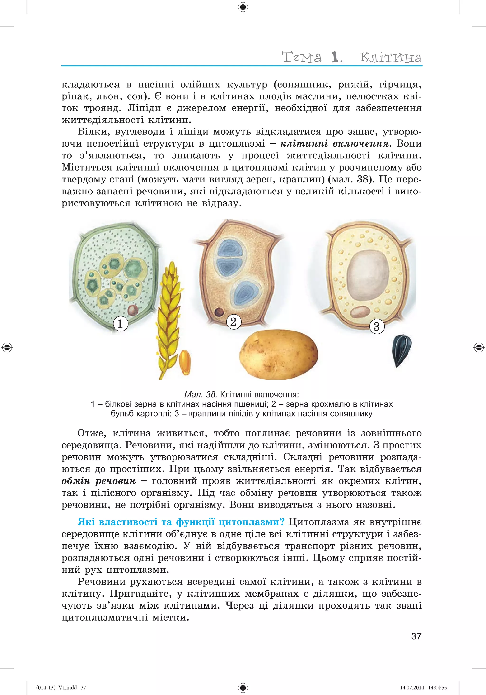 Slide 38