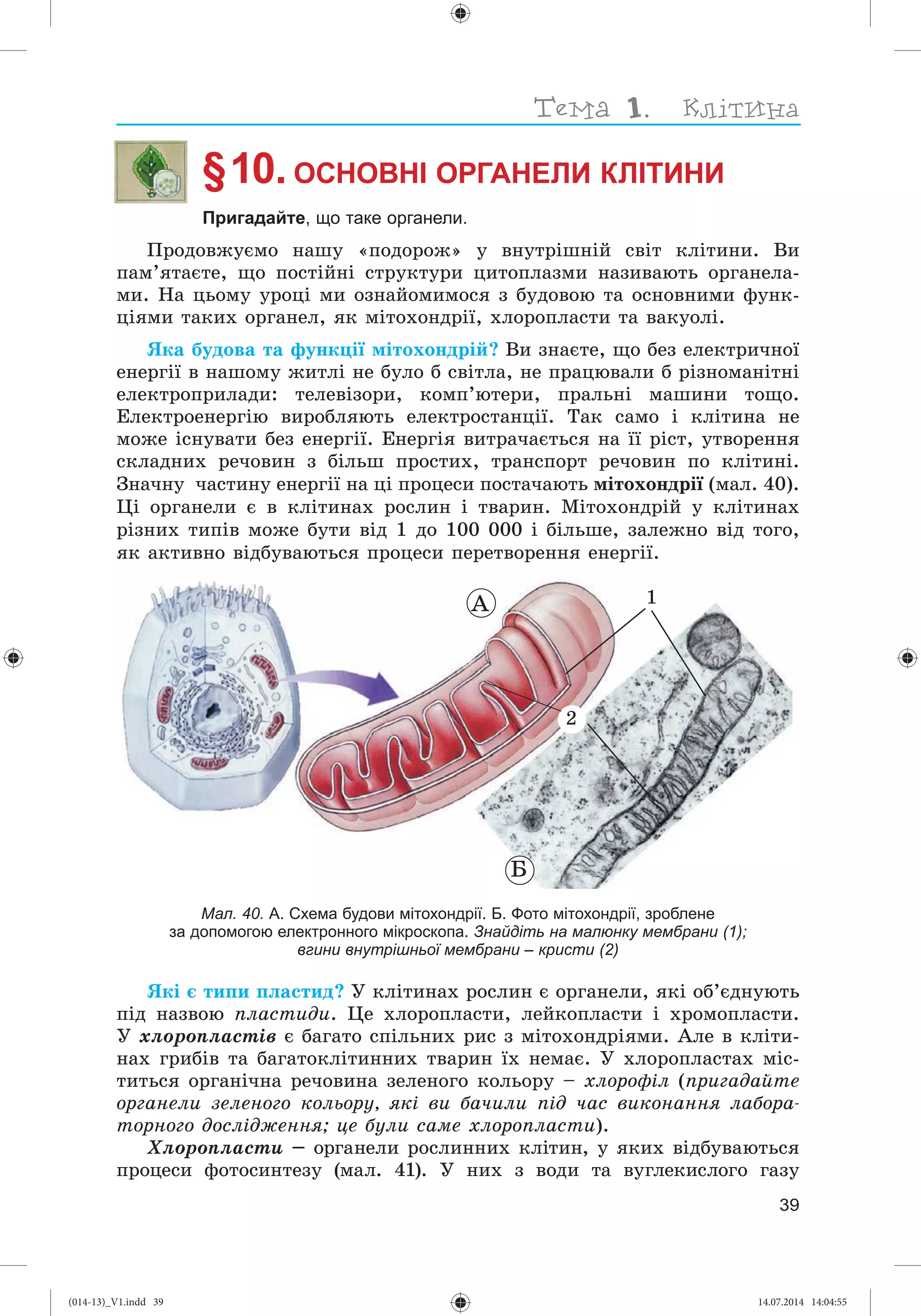 Slide 40