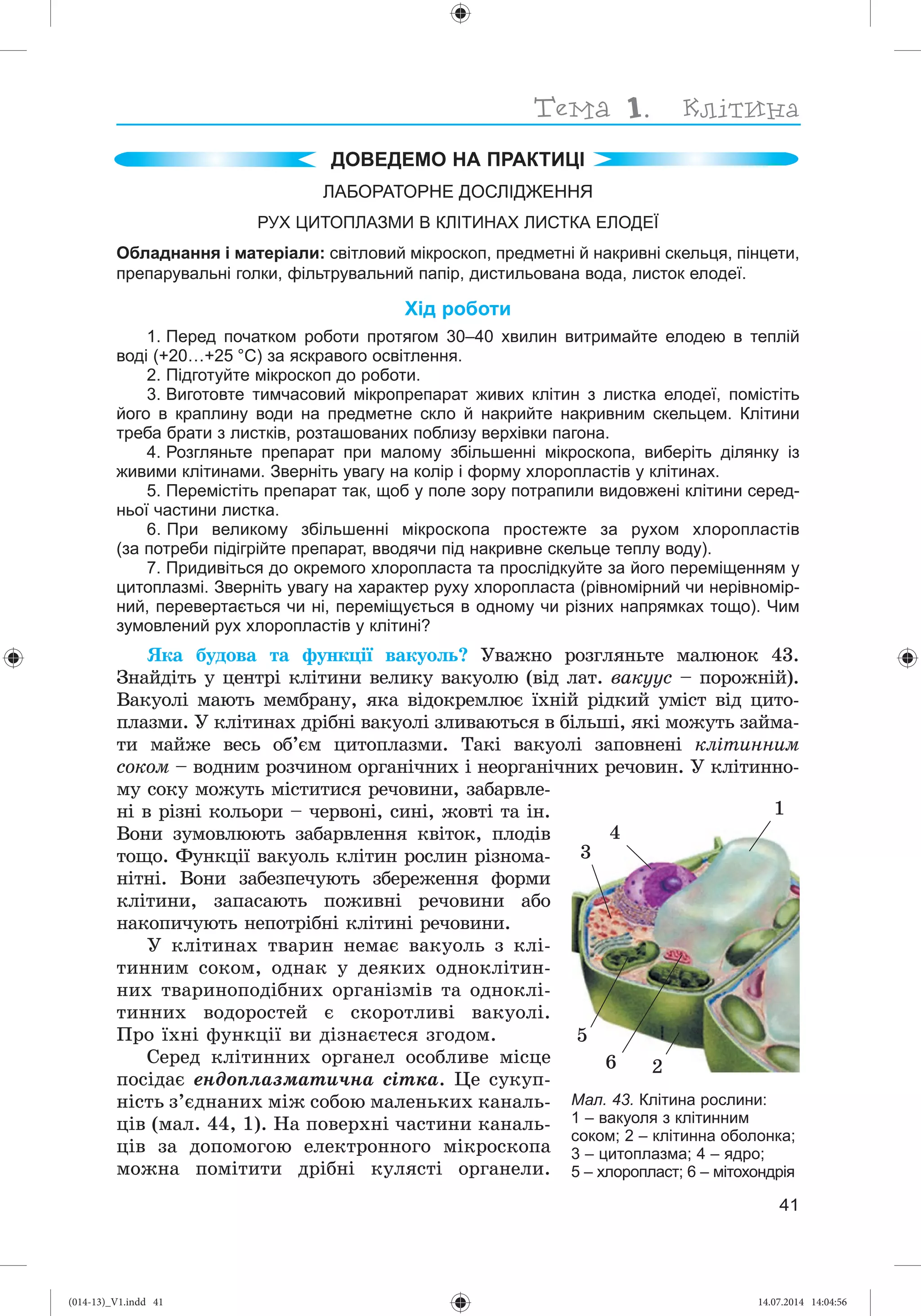 Slide 42