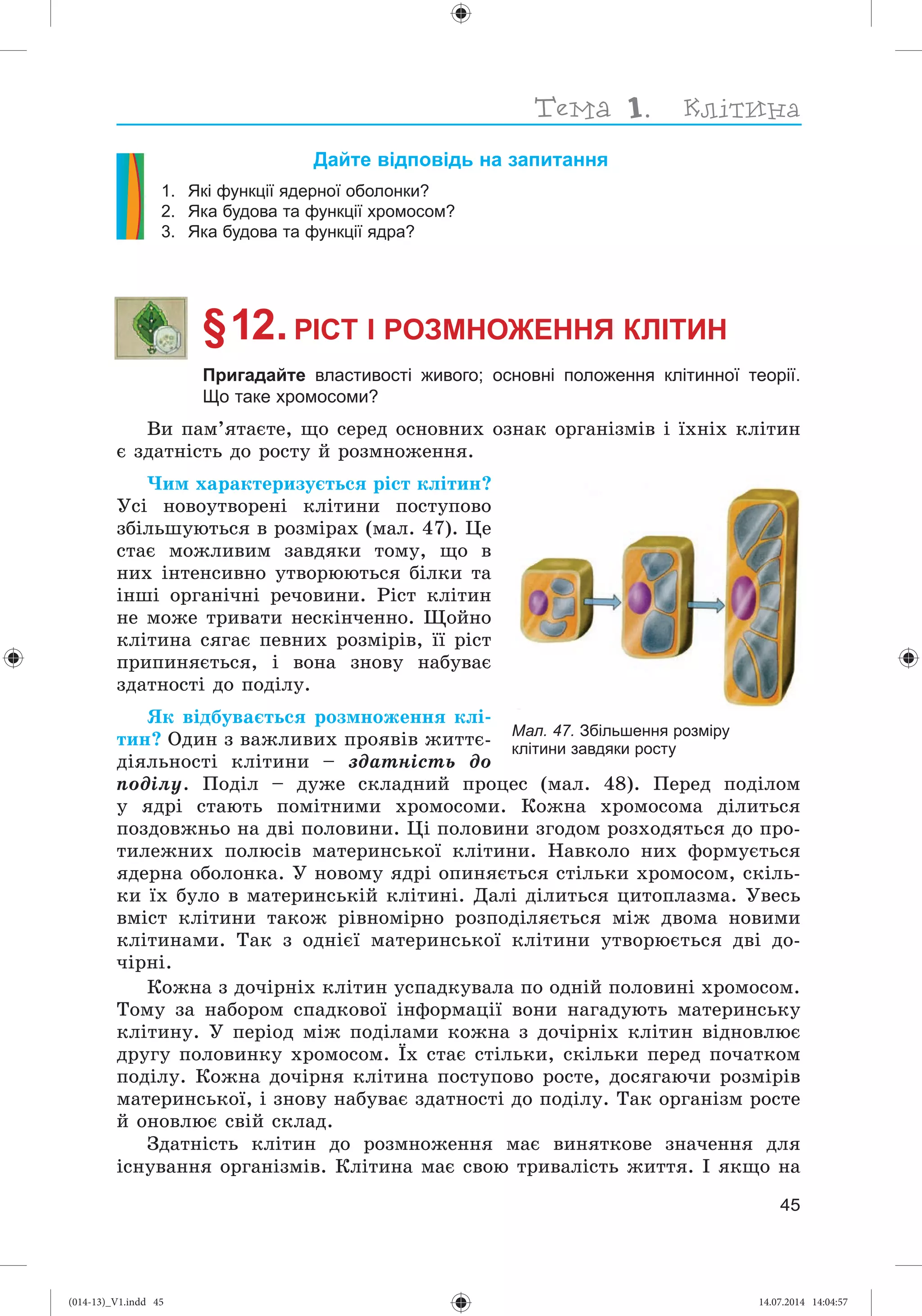 Slide 46