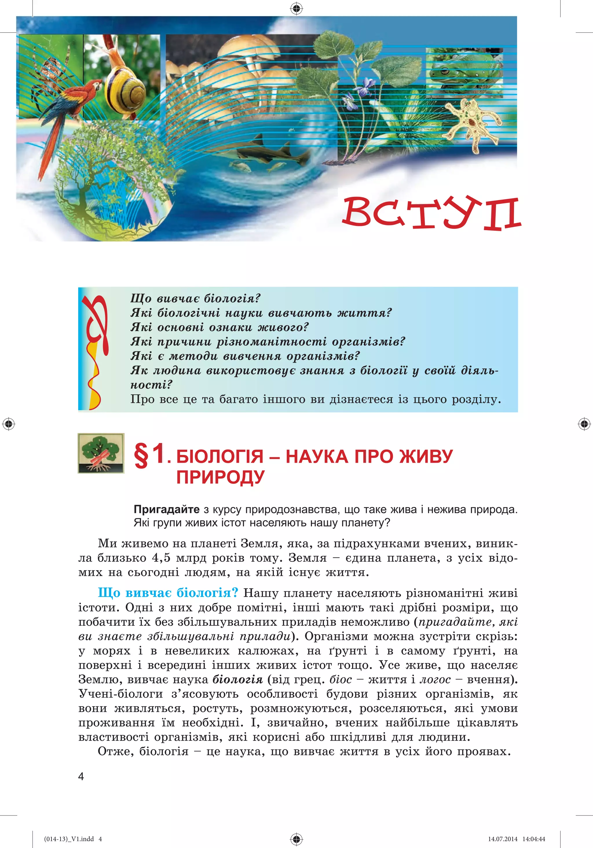 Slide 5