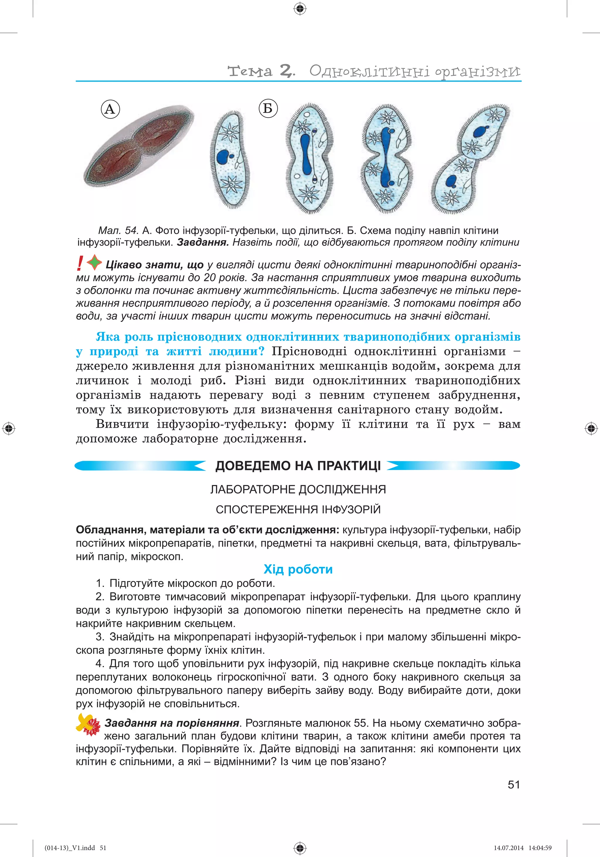 Slide 52