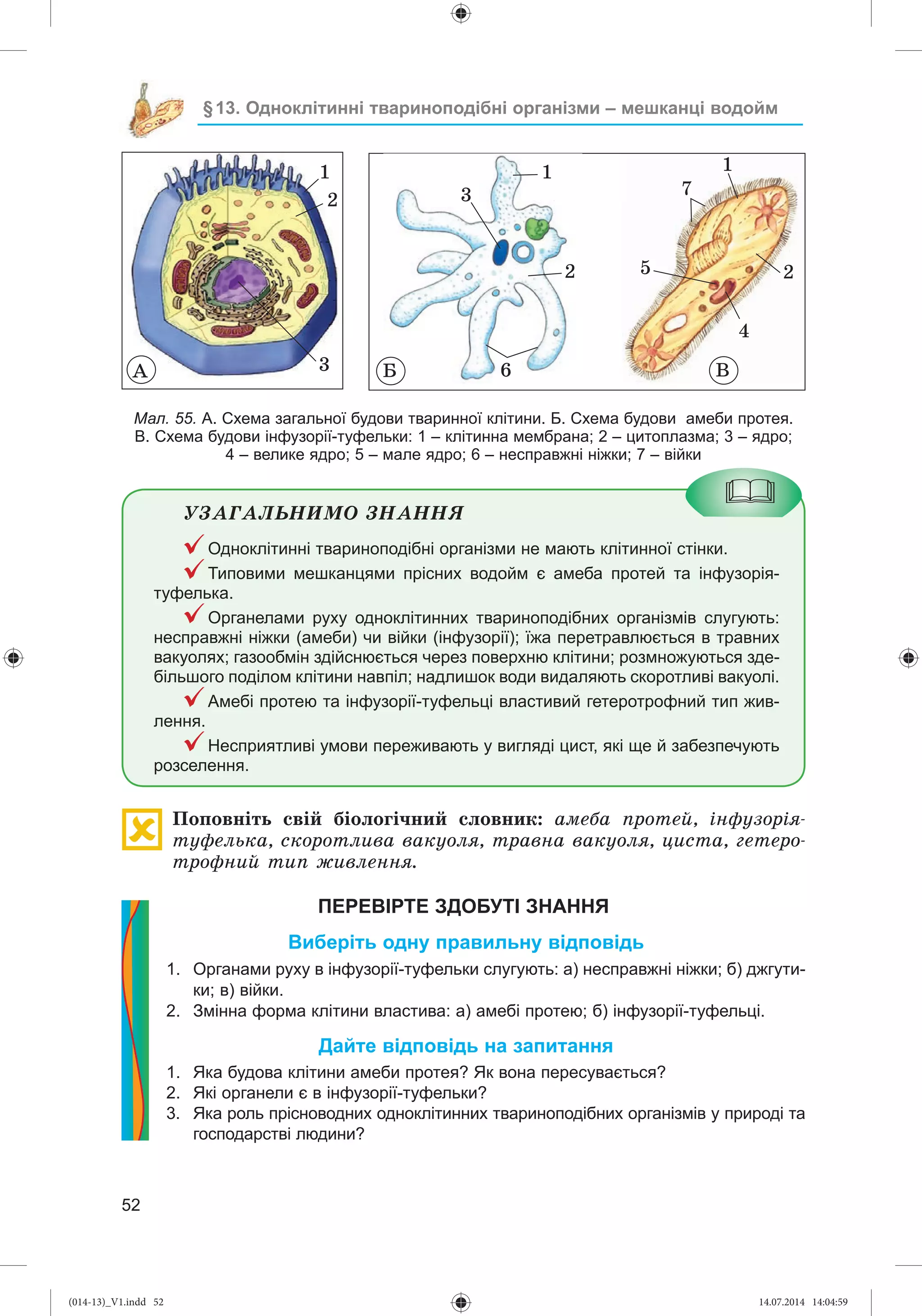 Slide 53