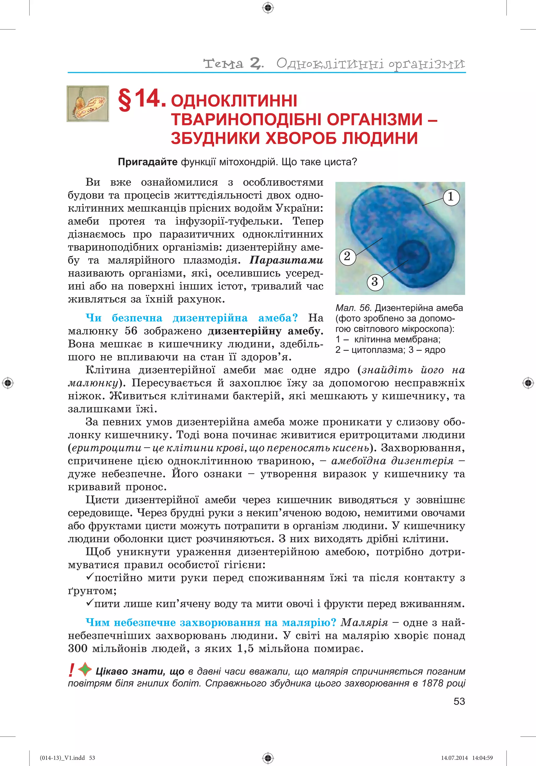Slide 54