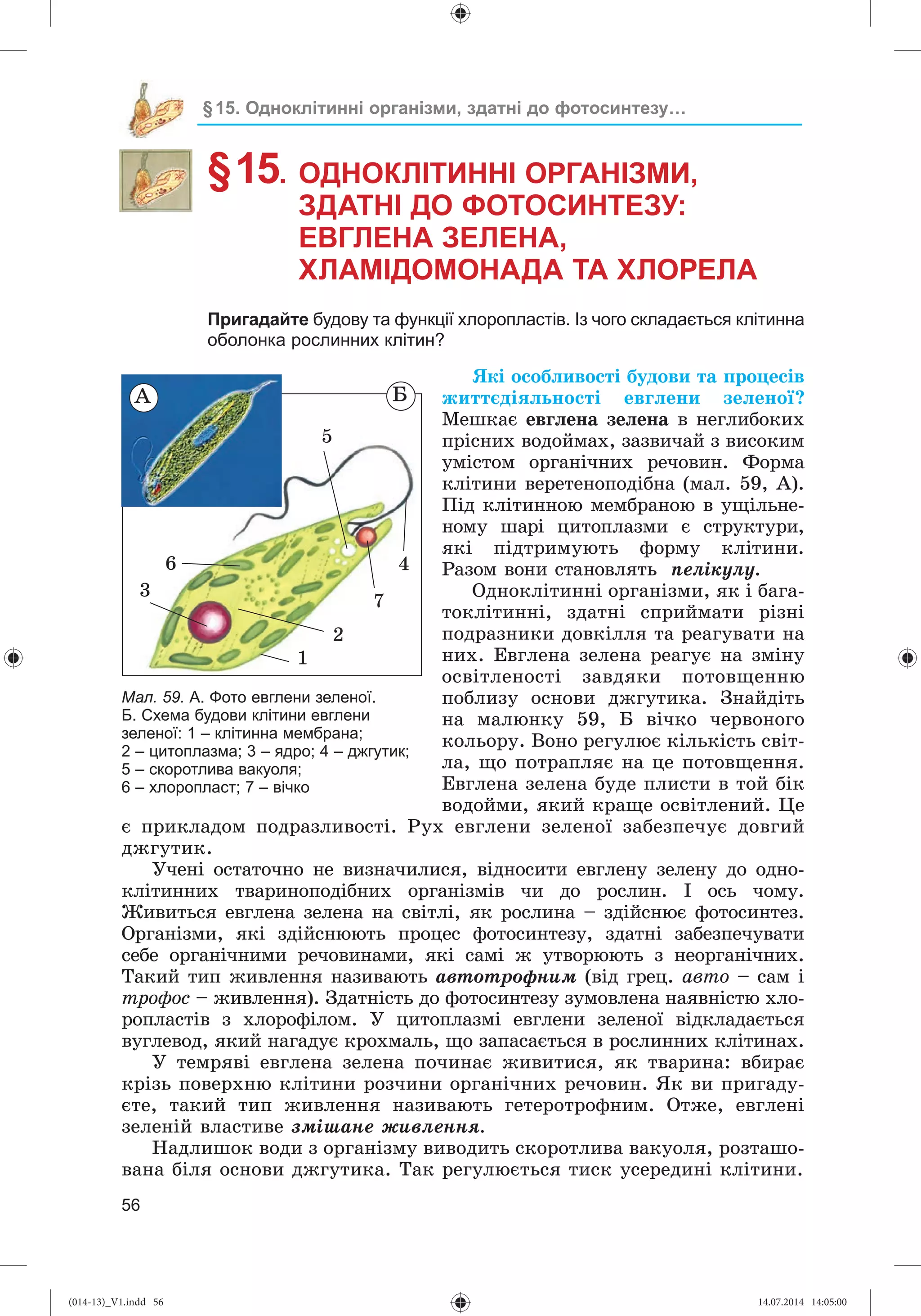 Slide 57