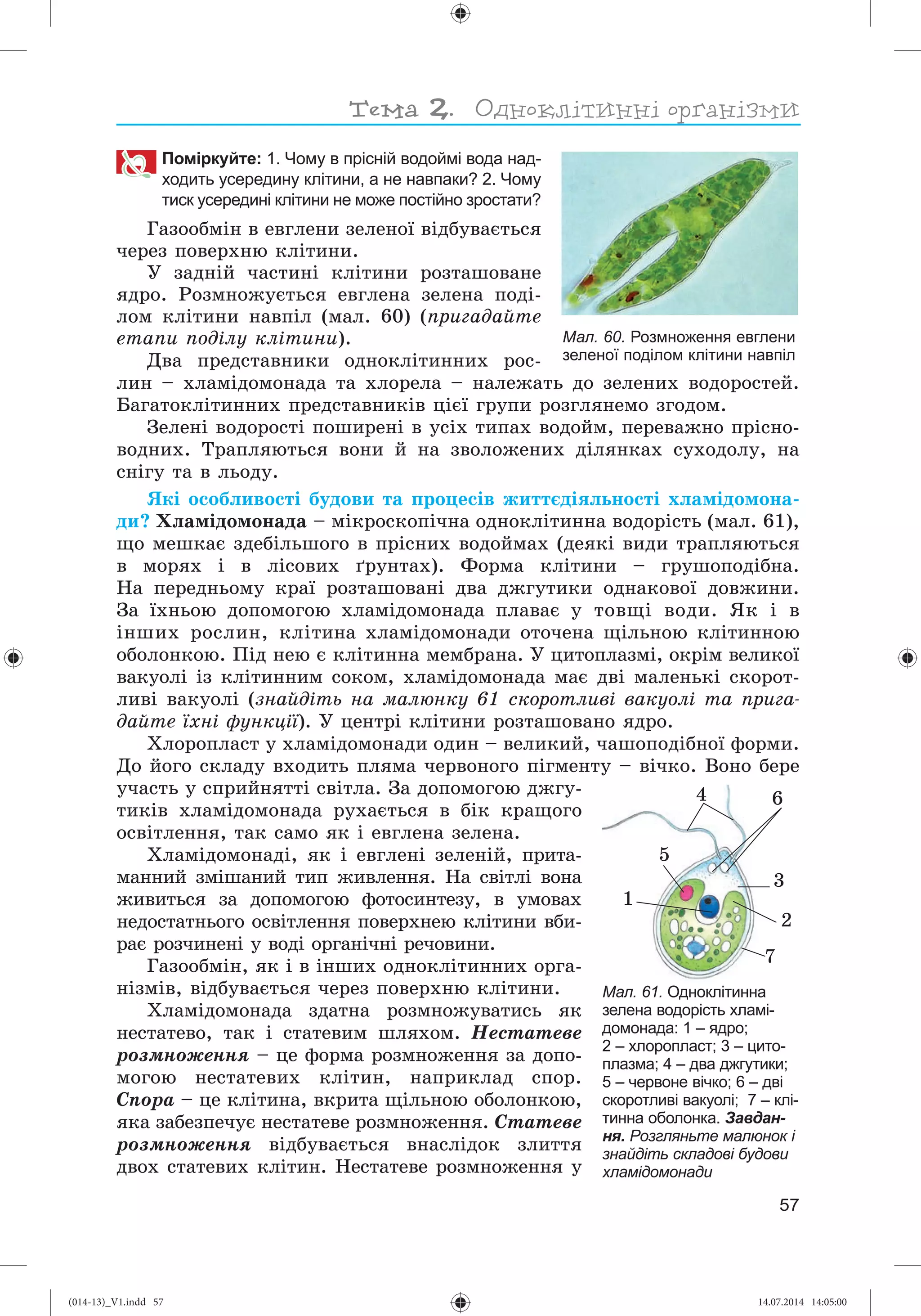 Slide 58