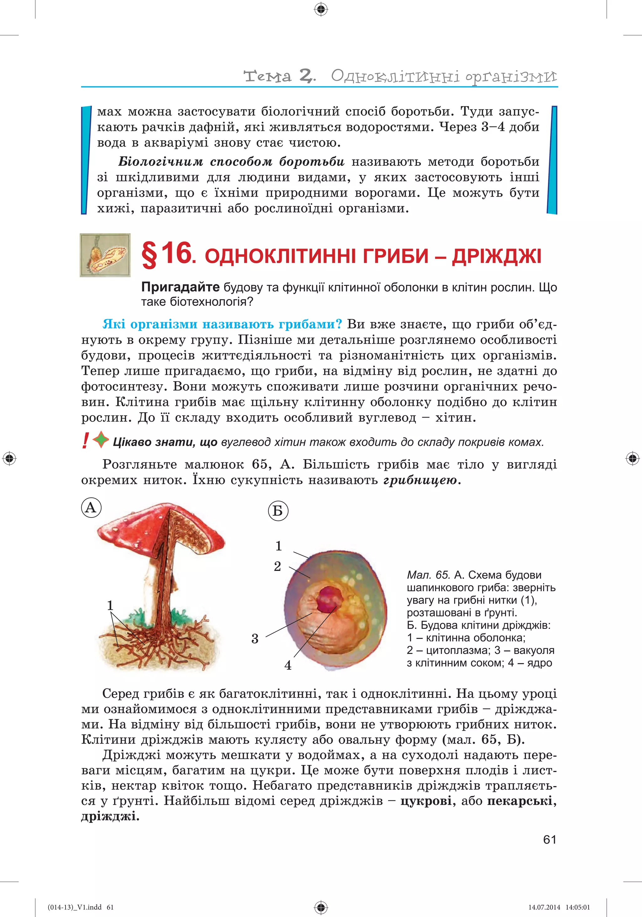 Slide 62