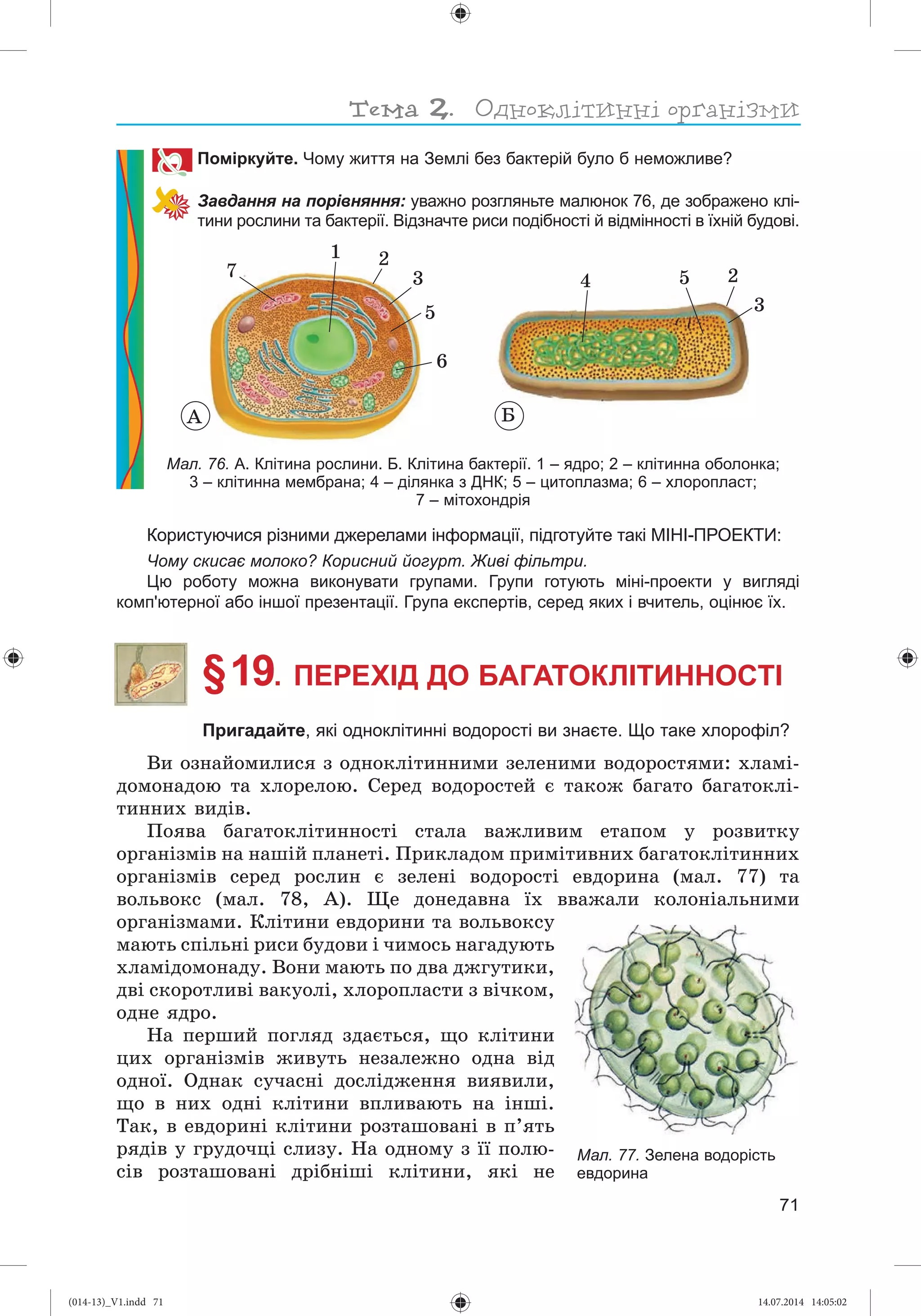 Slide 72