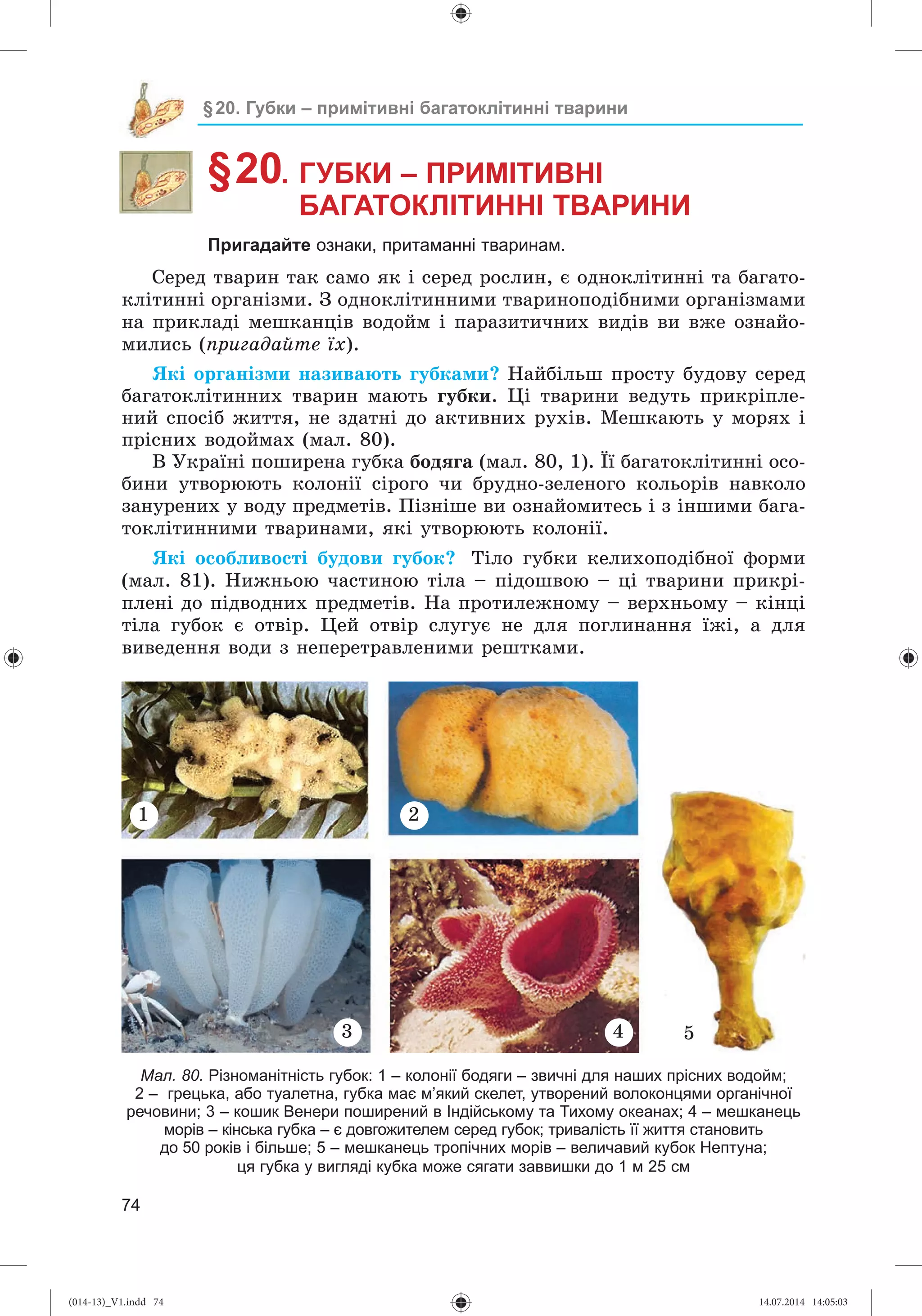 Slide 75