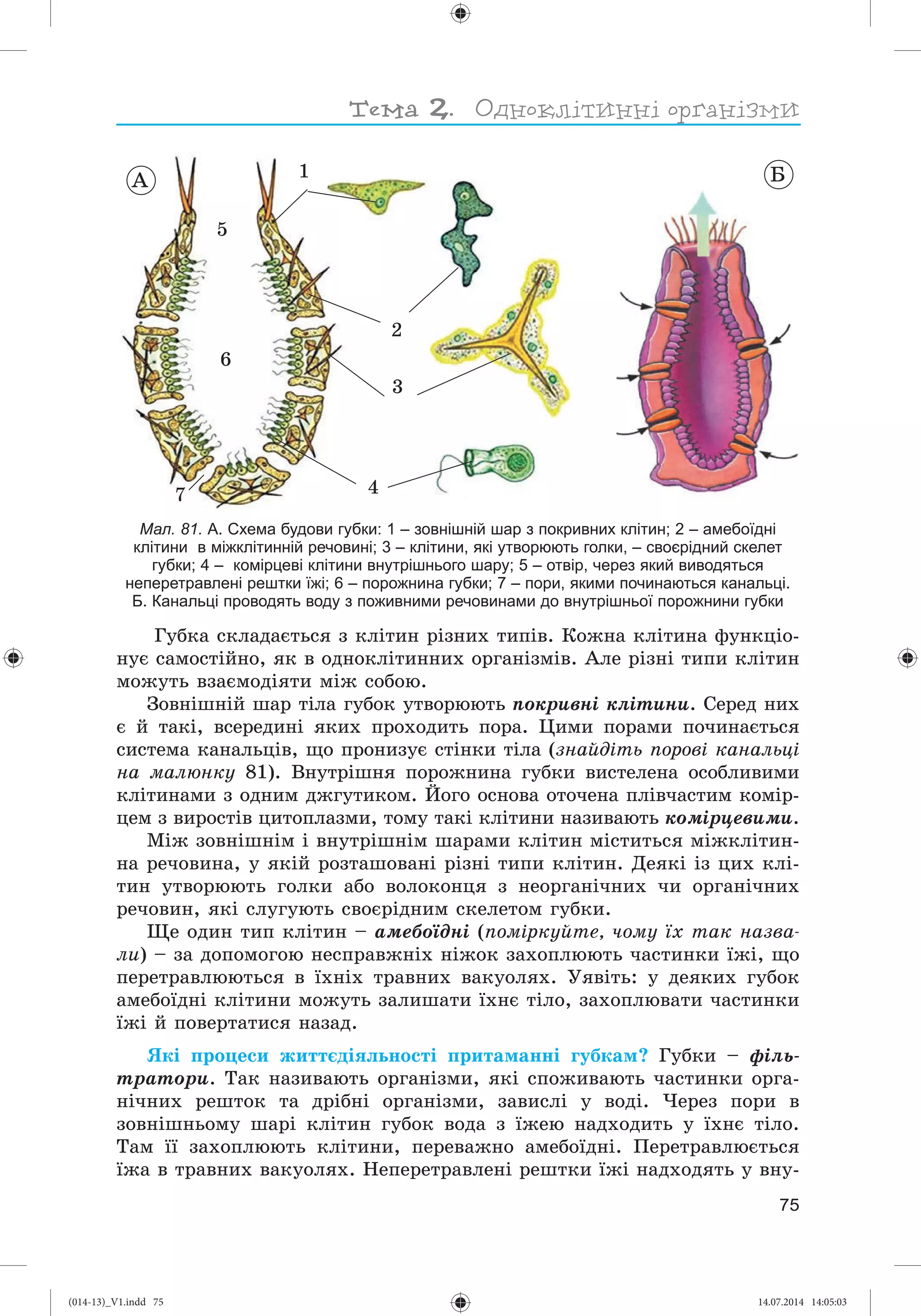 Slide 76