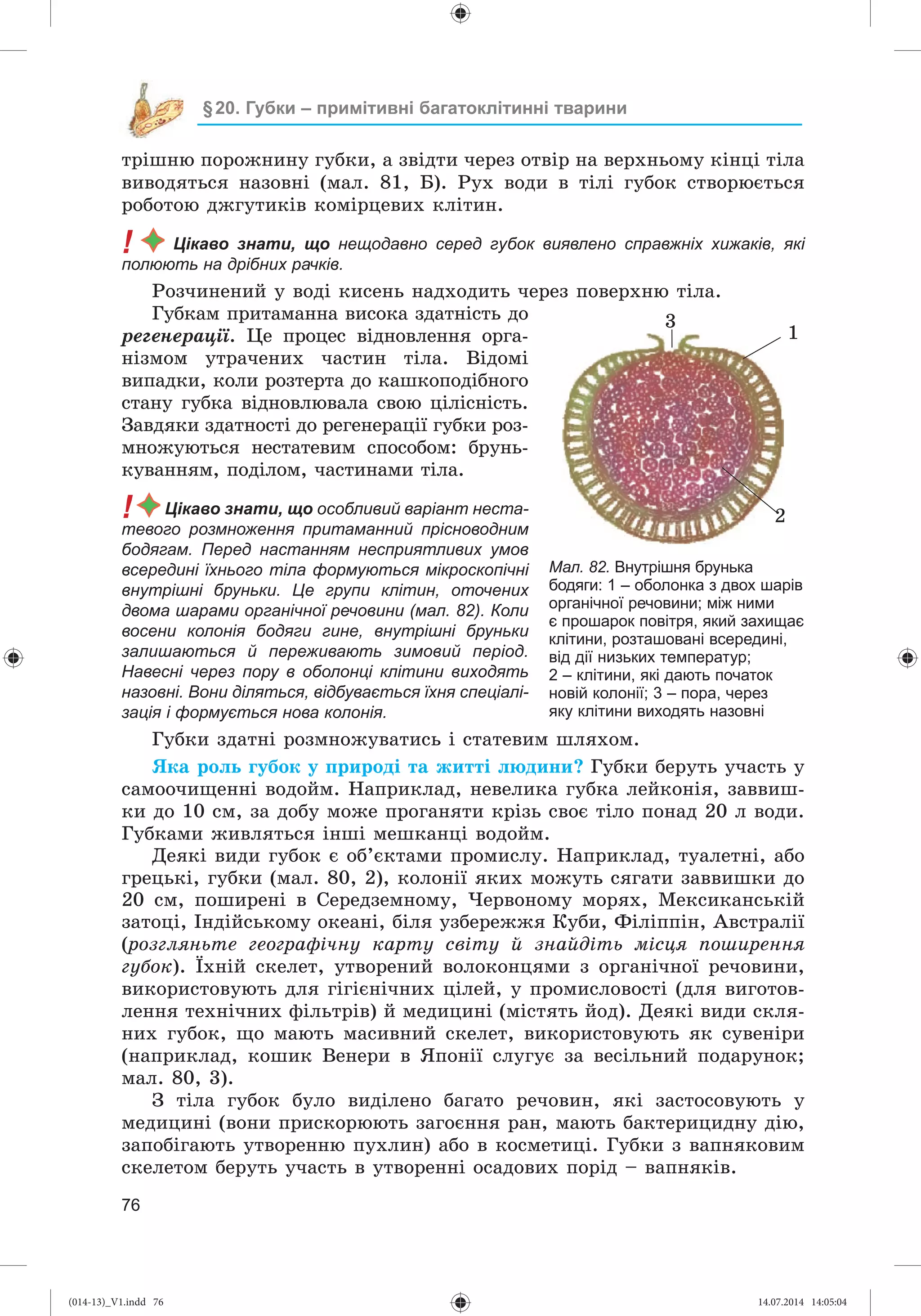 Slide 77