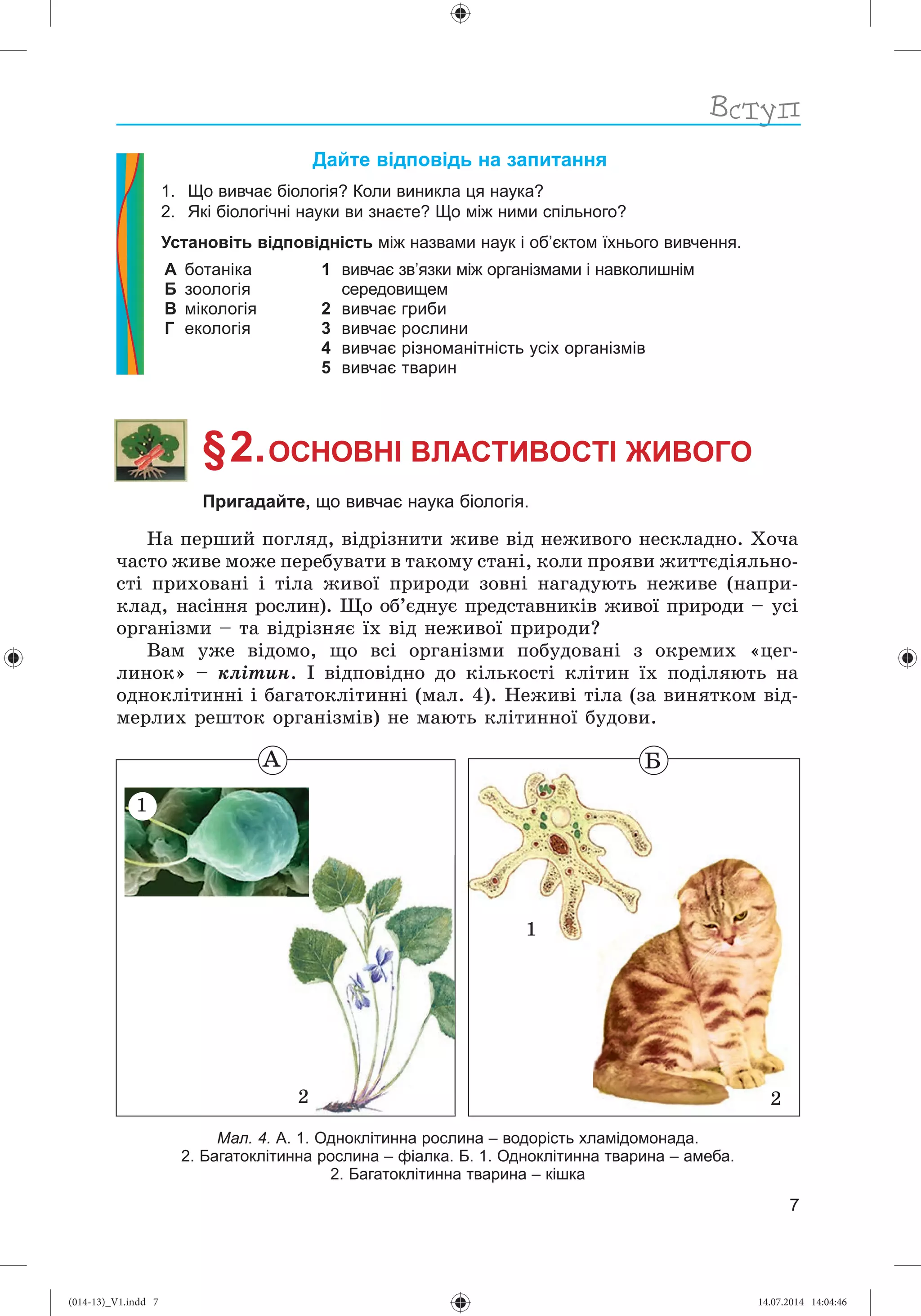 Slide 8